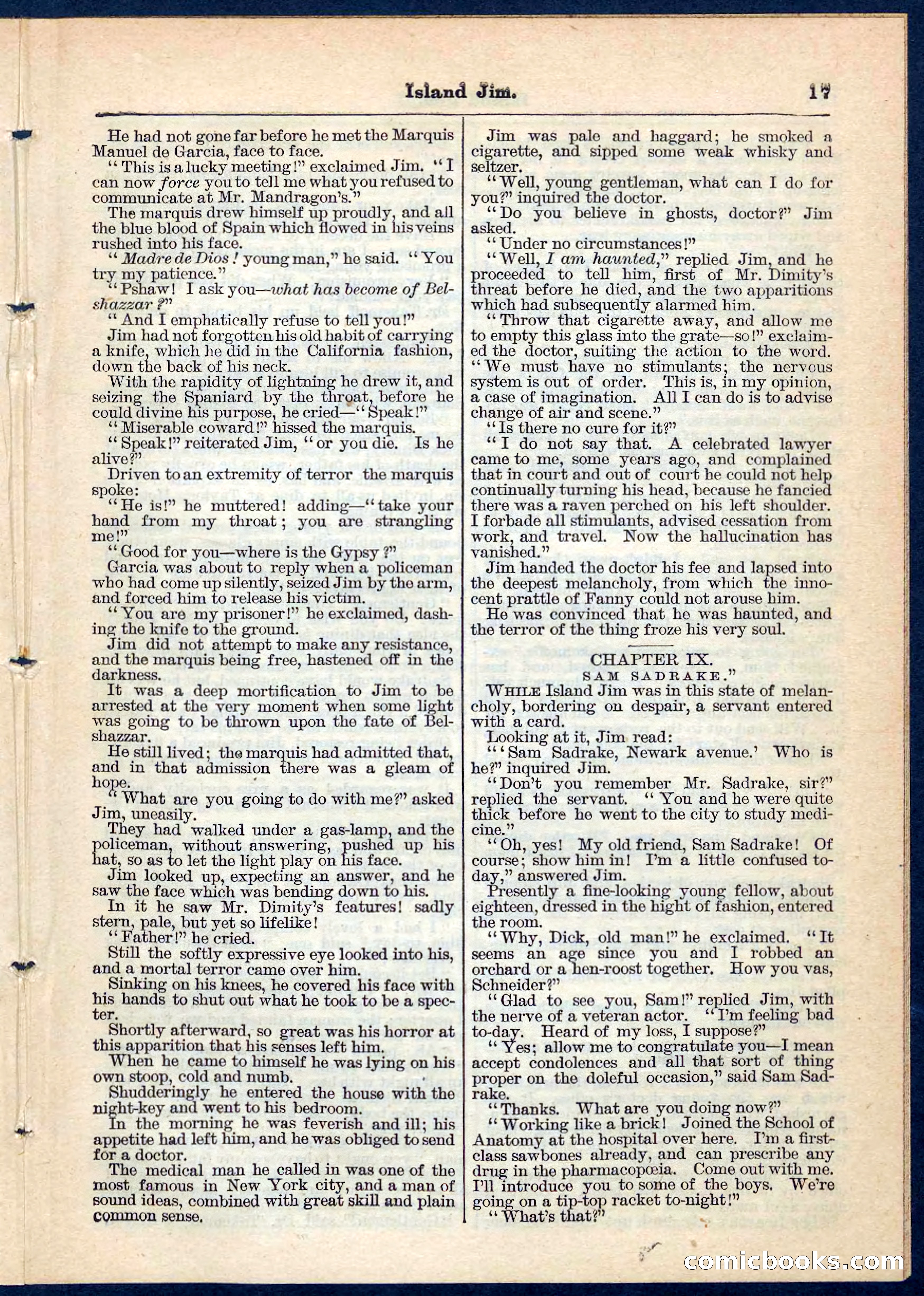 Island Jim; or, The Pet of the Family — page 17 of 32