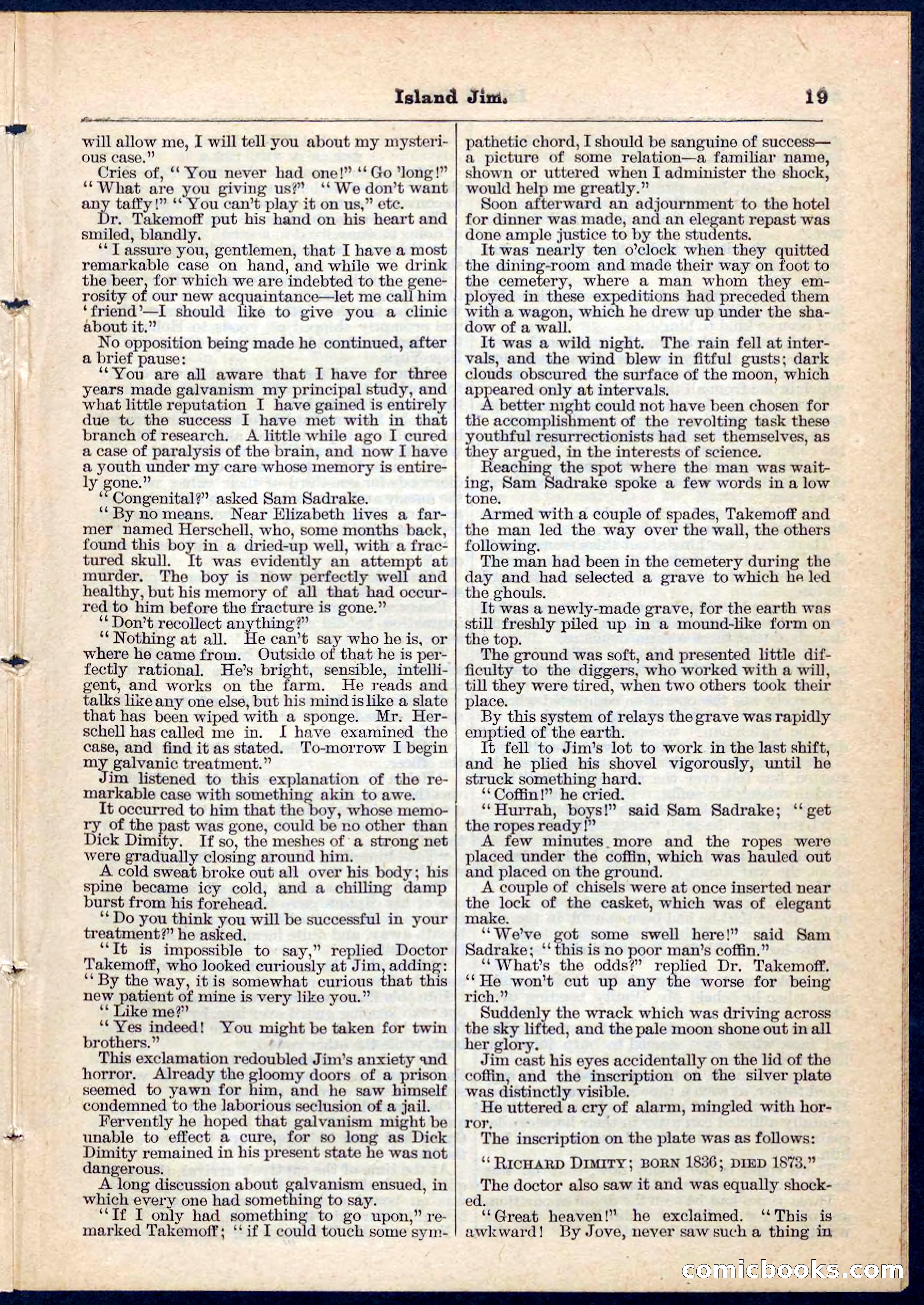 Island Jim; or, The Pet of the Family — page 19 of 32
