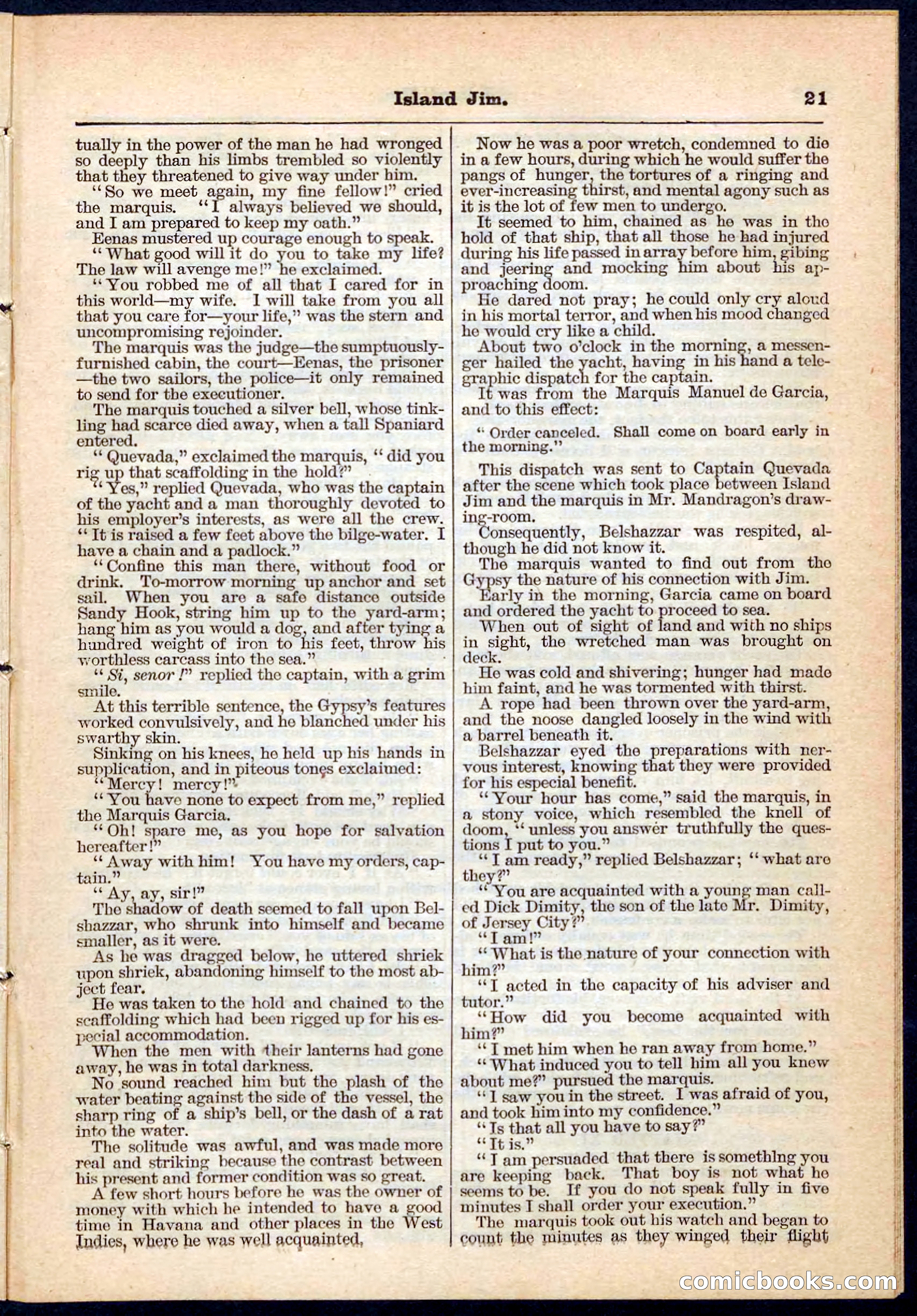 Island Jim; or, The Pet of the Family — page 21 of 32