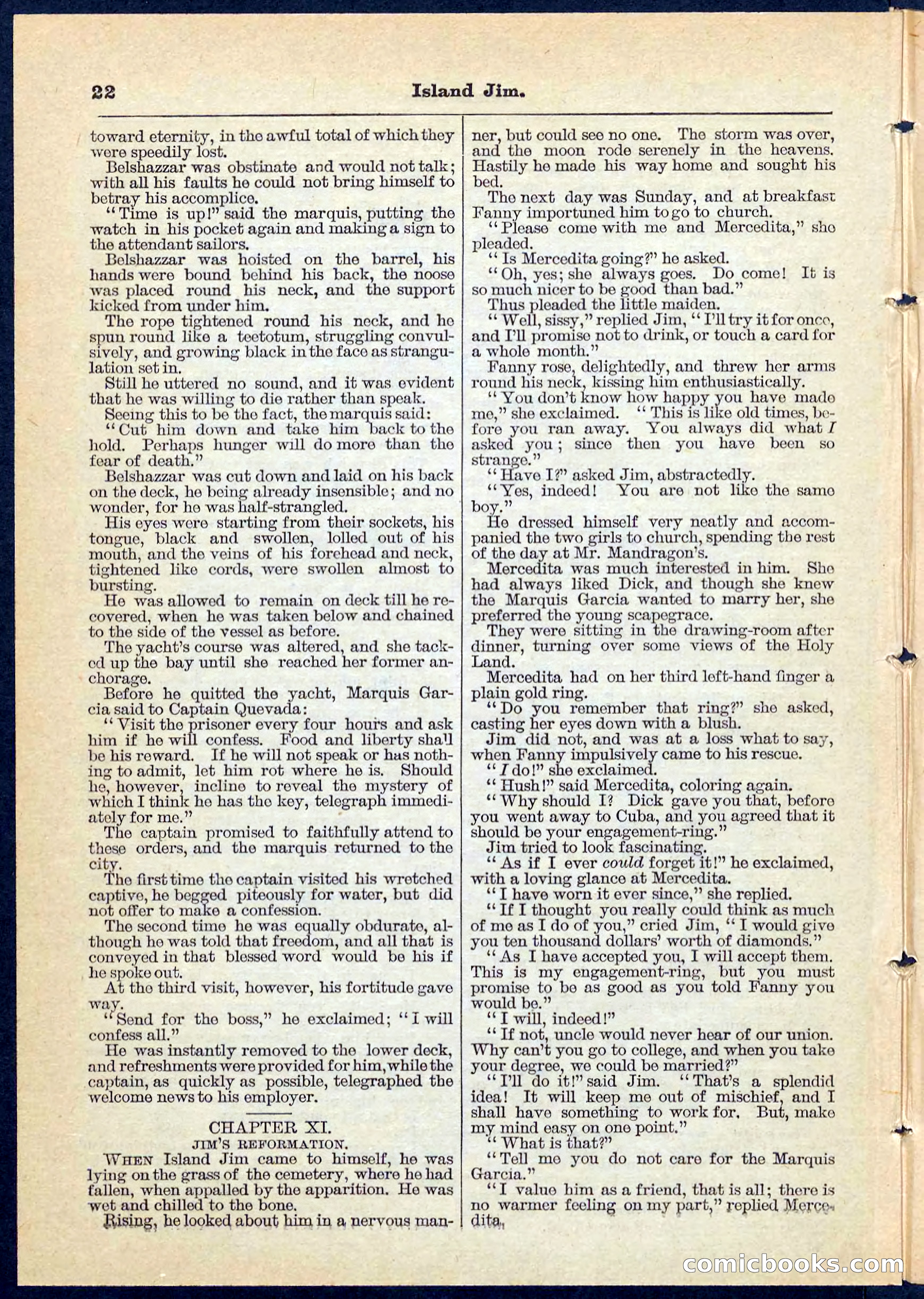 Island Jim; or, The Pet of the Family — page 22 of 32