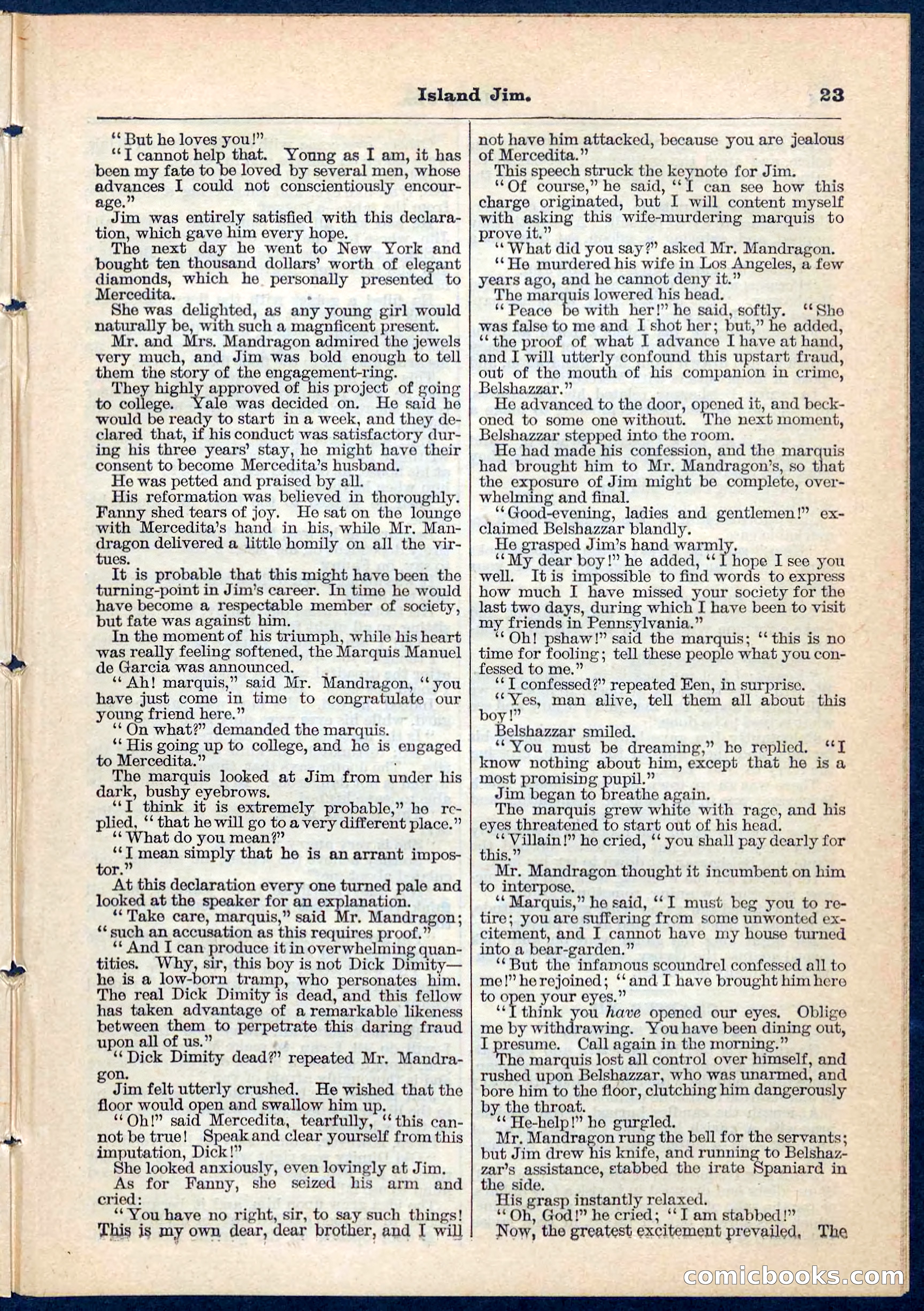 Island Jim; or, The Pet of the Family — page 23 of 32