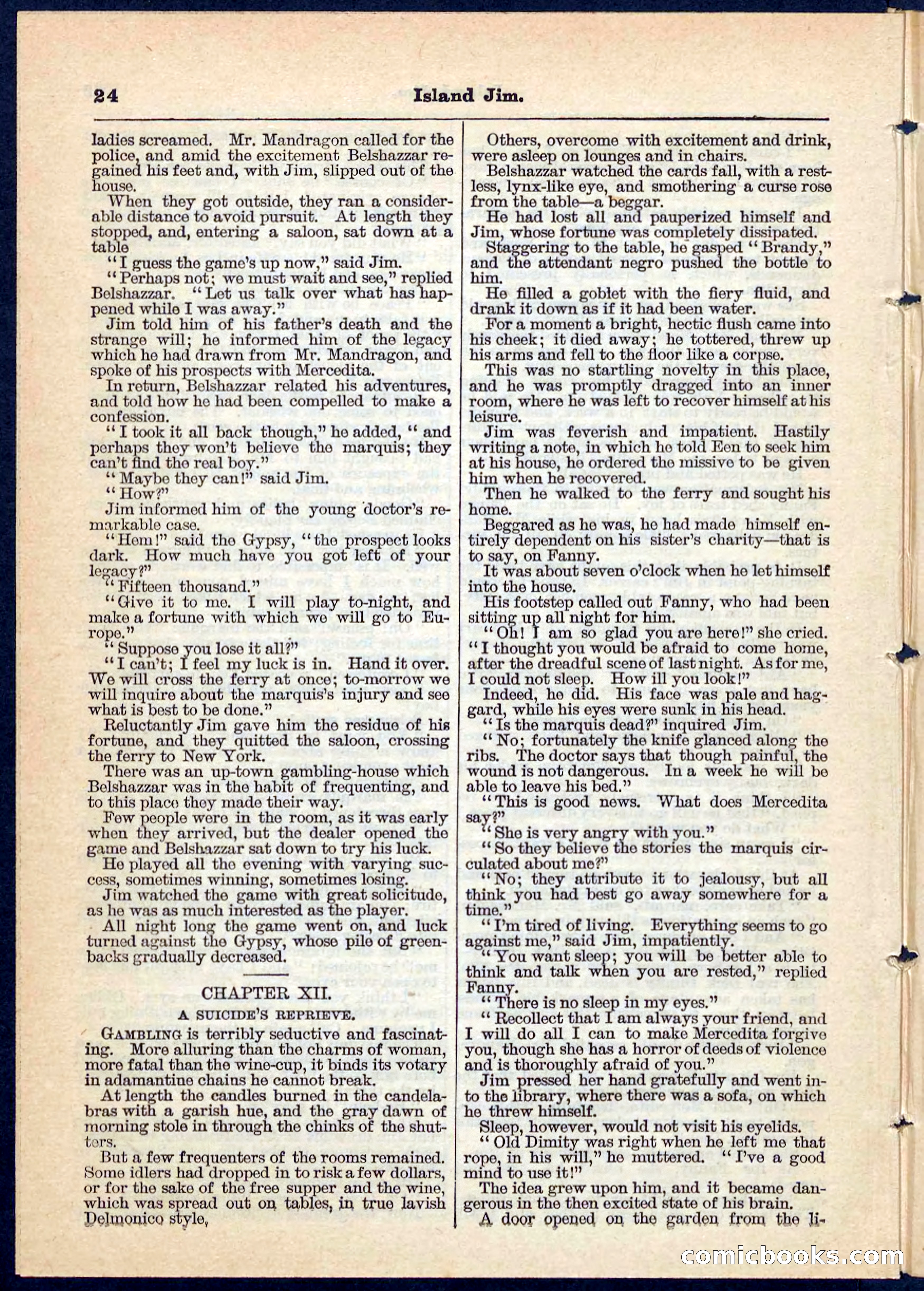 Island Jim; or, The Pet of the Family — page 24 of 32