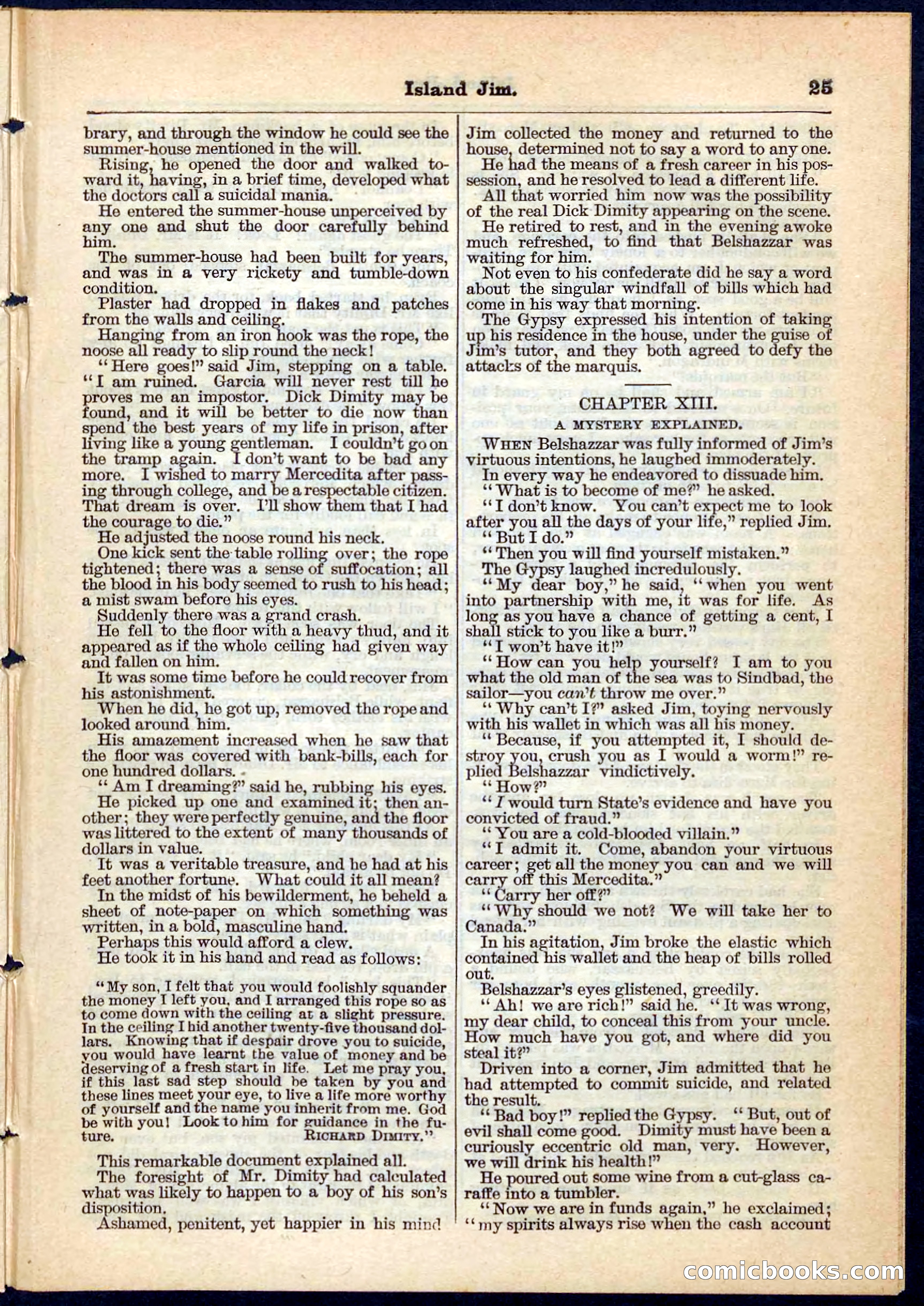 Island Jim; or, The Pet of the Family — page 25 of 32