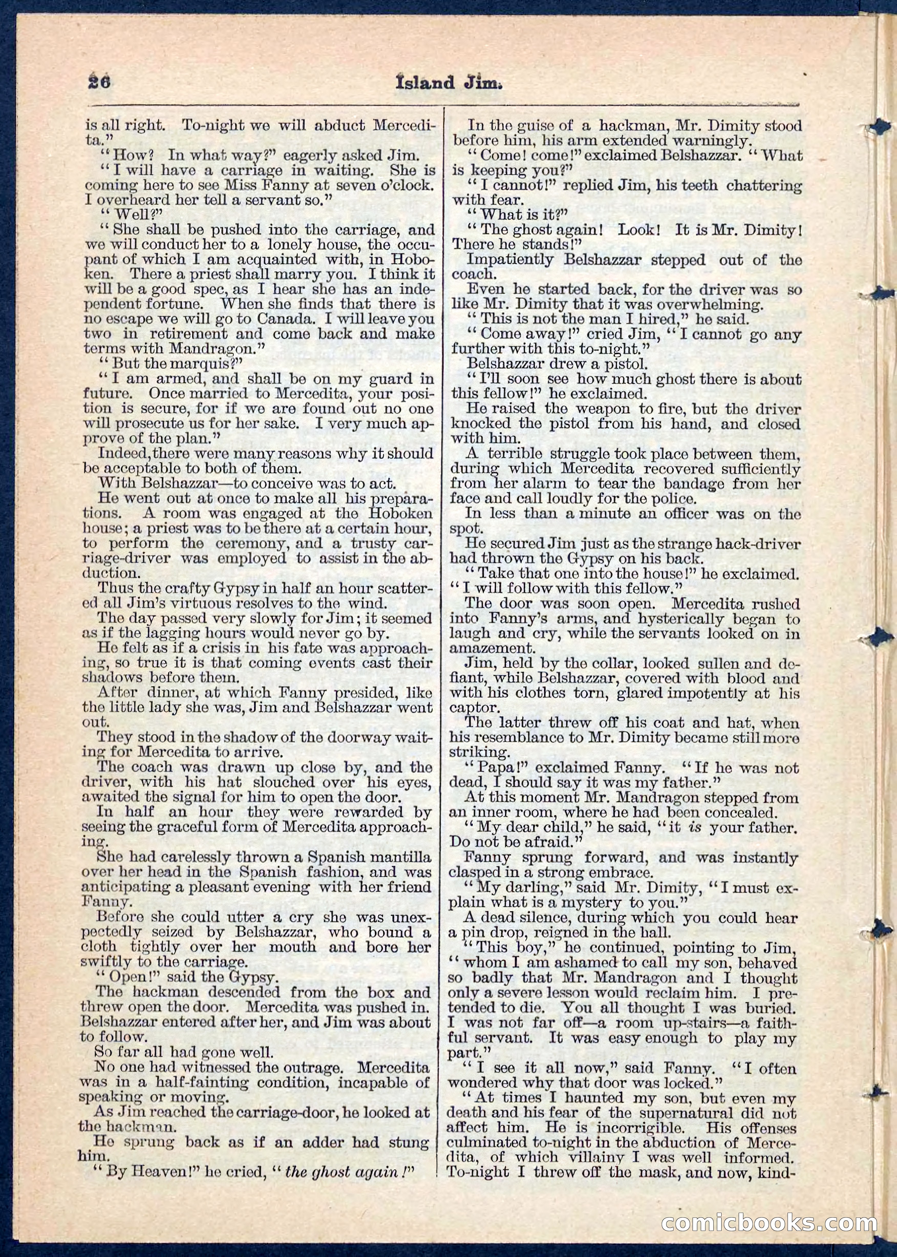 Island Jim; or, The Pet of the Family — page 26 of 32