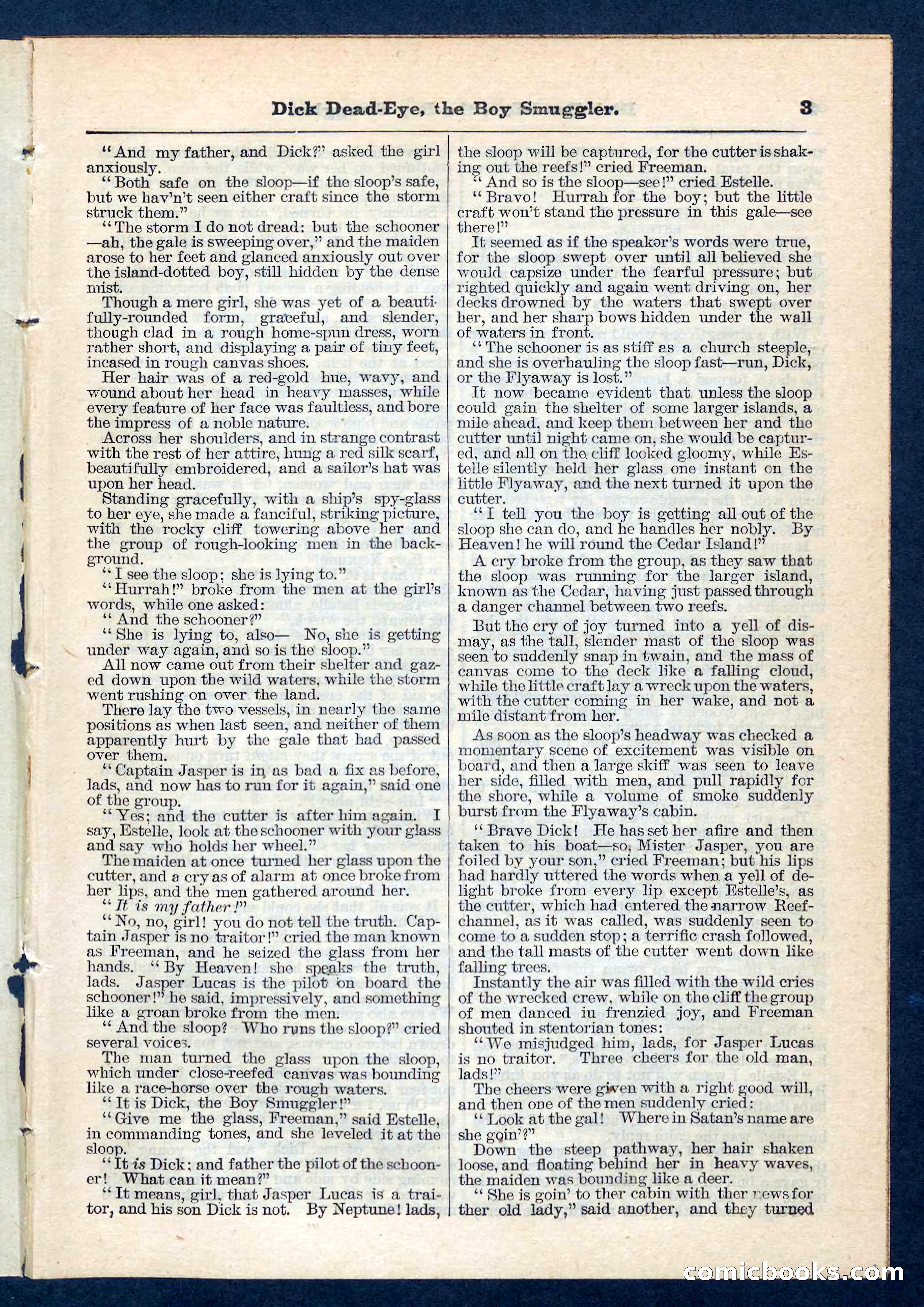 Dick Dead-Eye, the Boy Smuggler — page 3 of 32