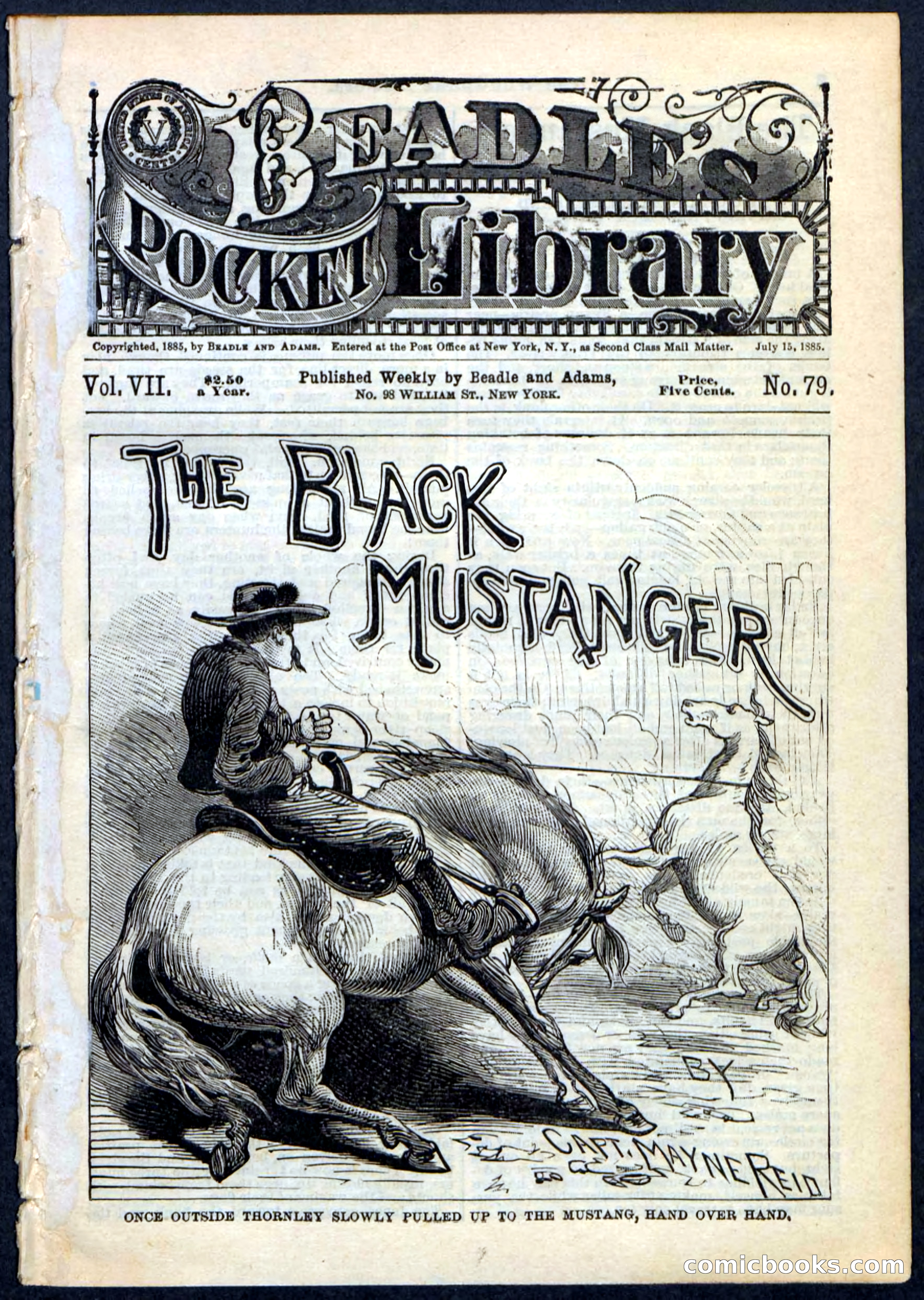 The Black Mustanger
