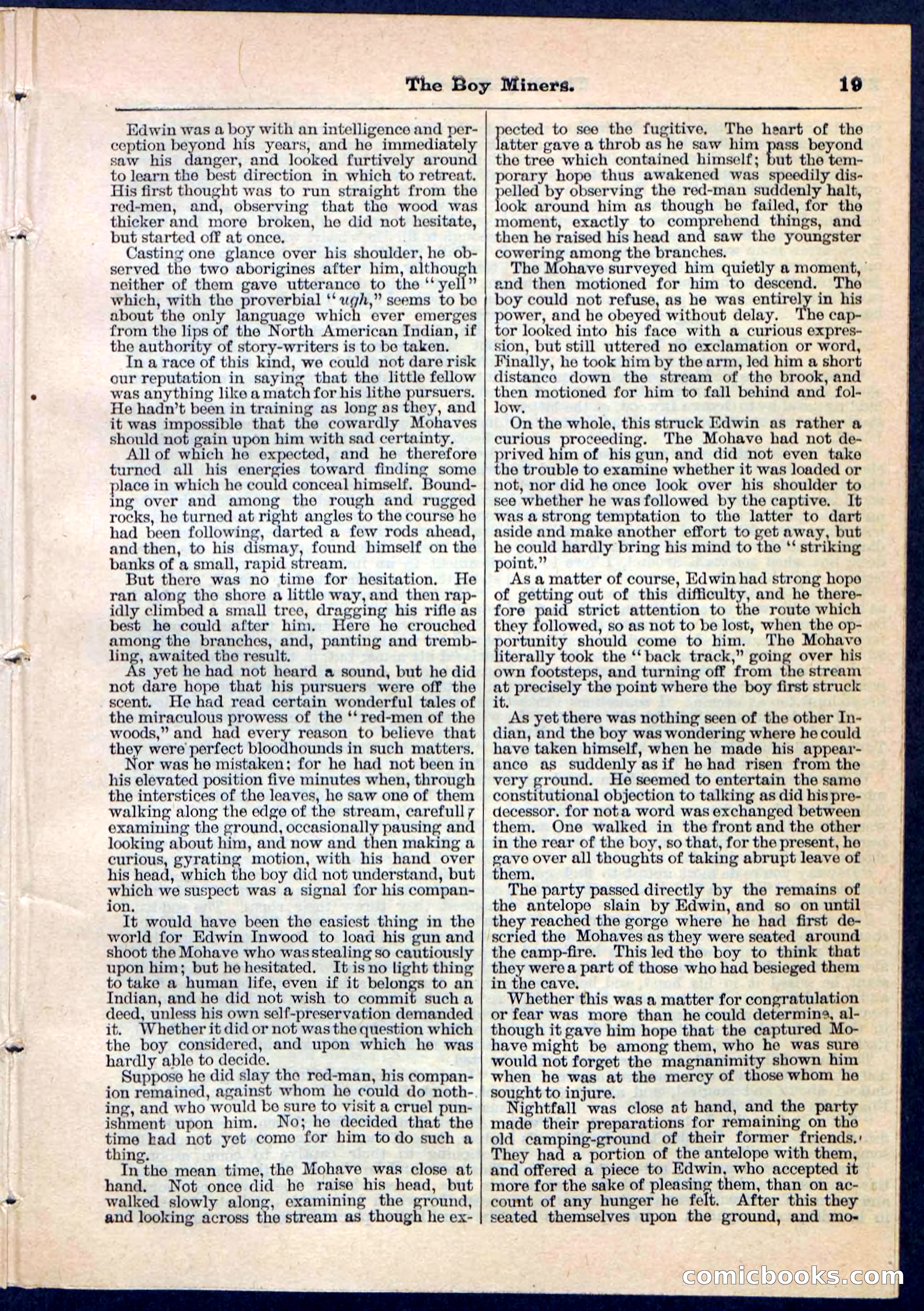 The Boy Miners; or, The Enchanted Island — page 19 of 32