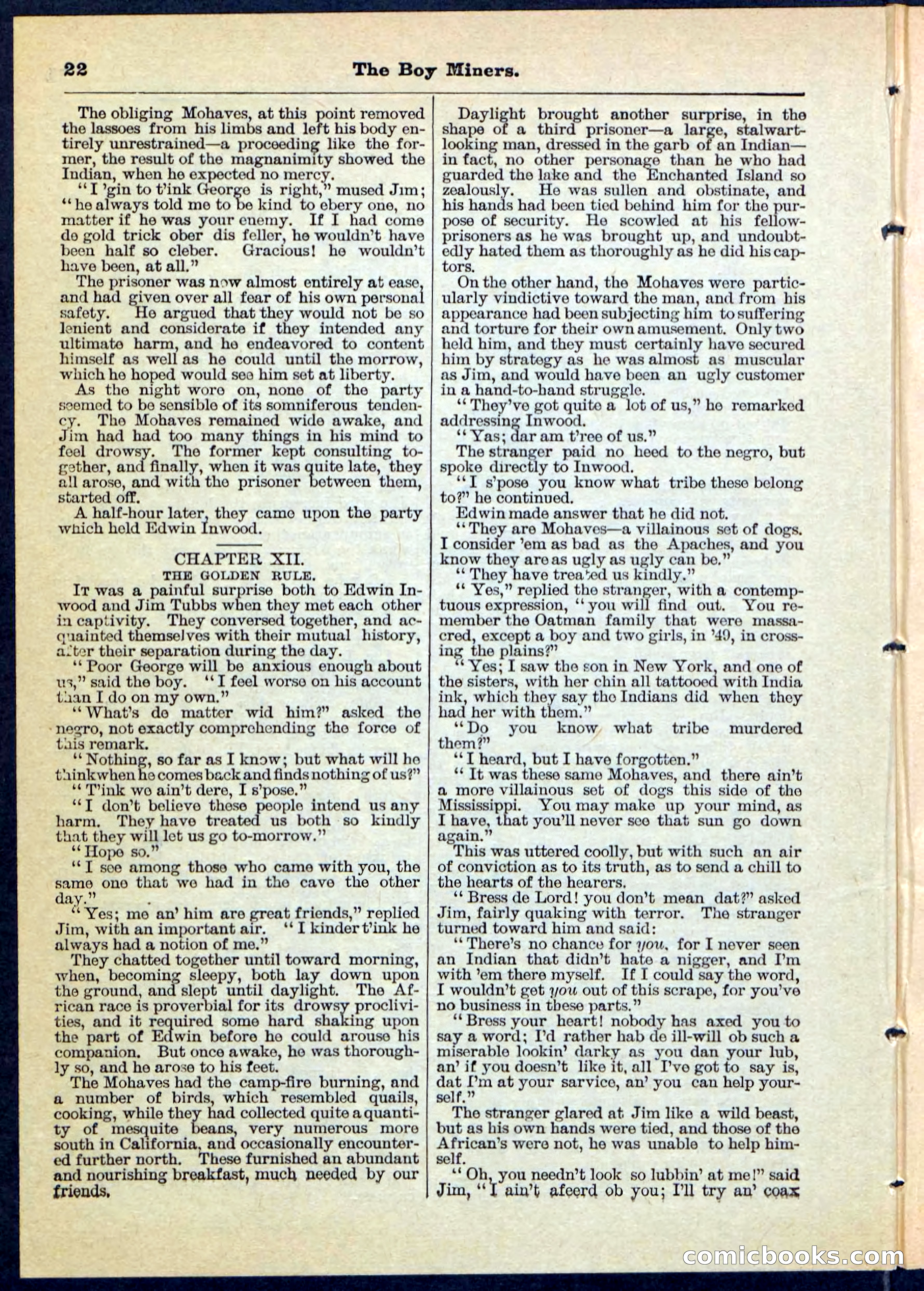 The Boy Miners; or, The Enchanted Island — page 22 of 32