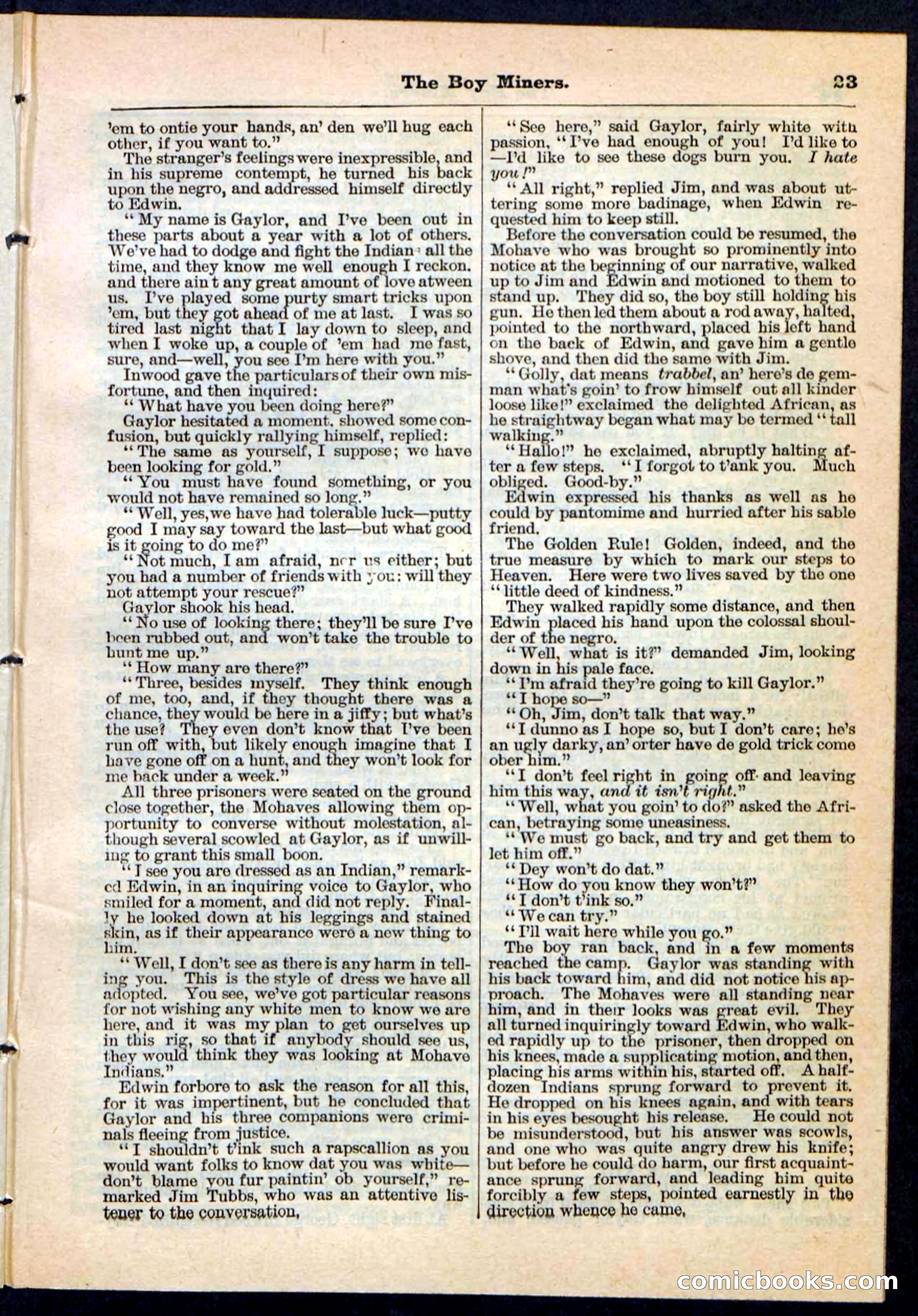 The Boy Miners; or, The Enchanted Island — page 23 of 32
