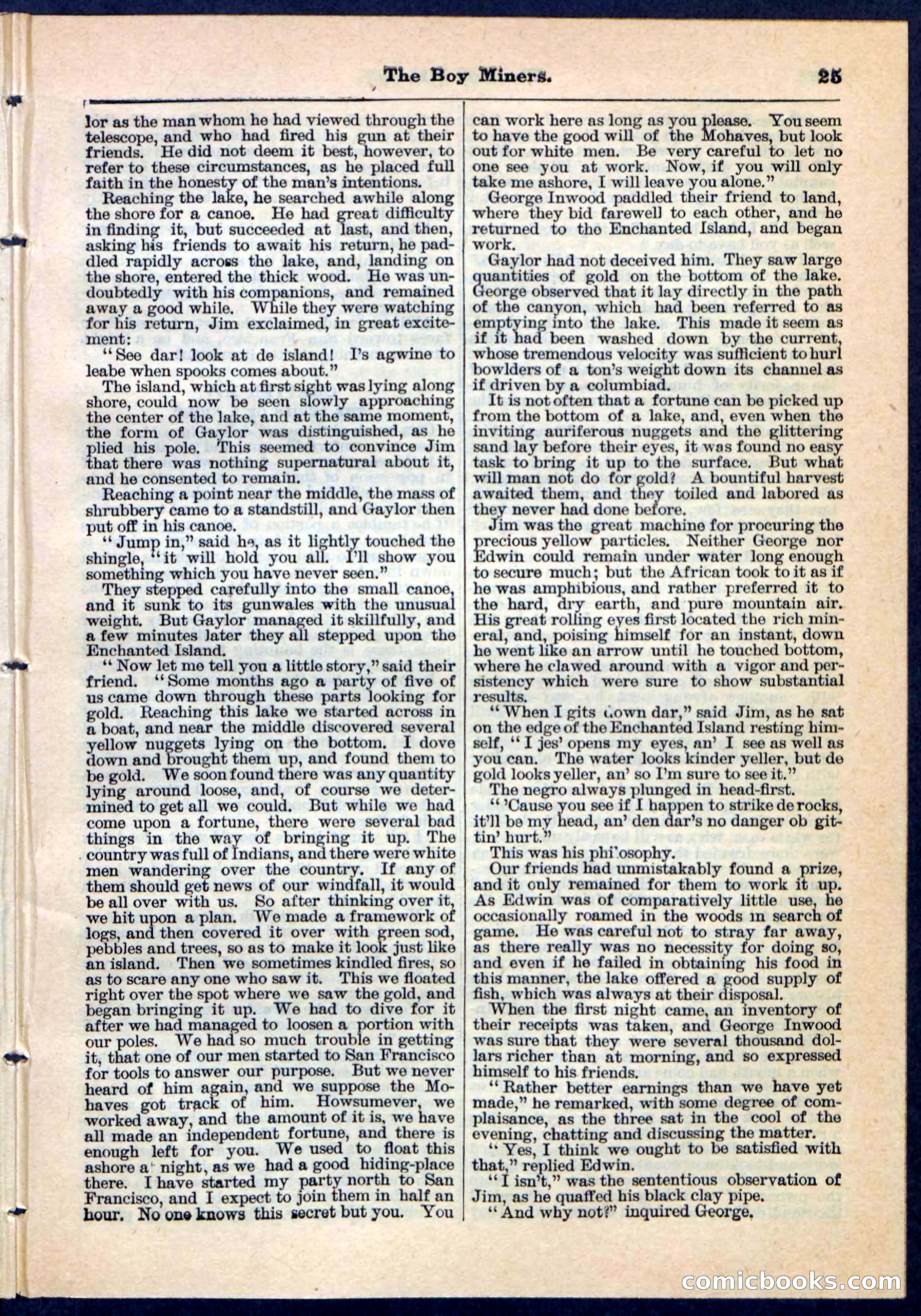 The Boy Miners; or, The Enchanted Island — page 25 of 32