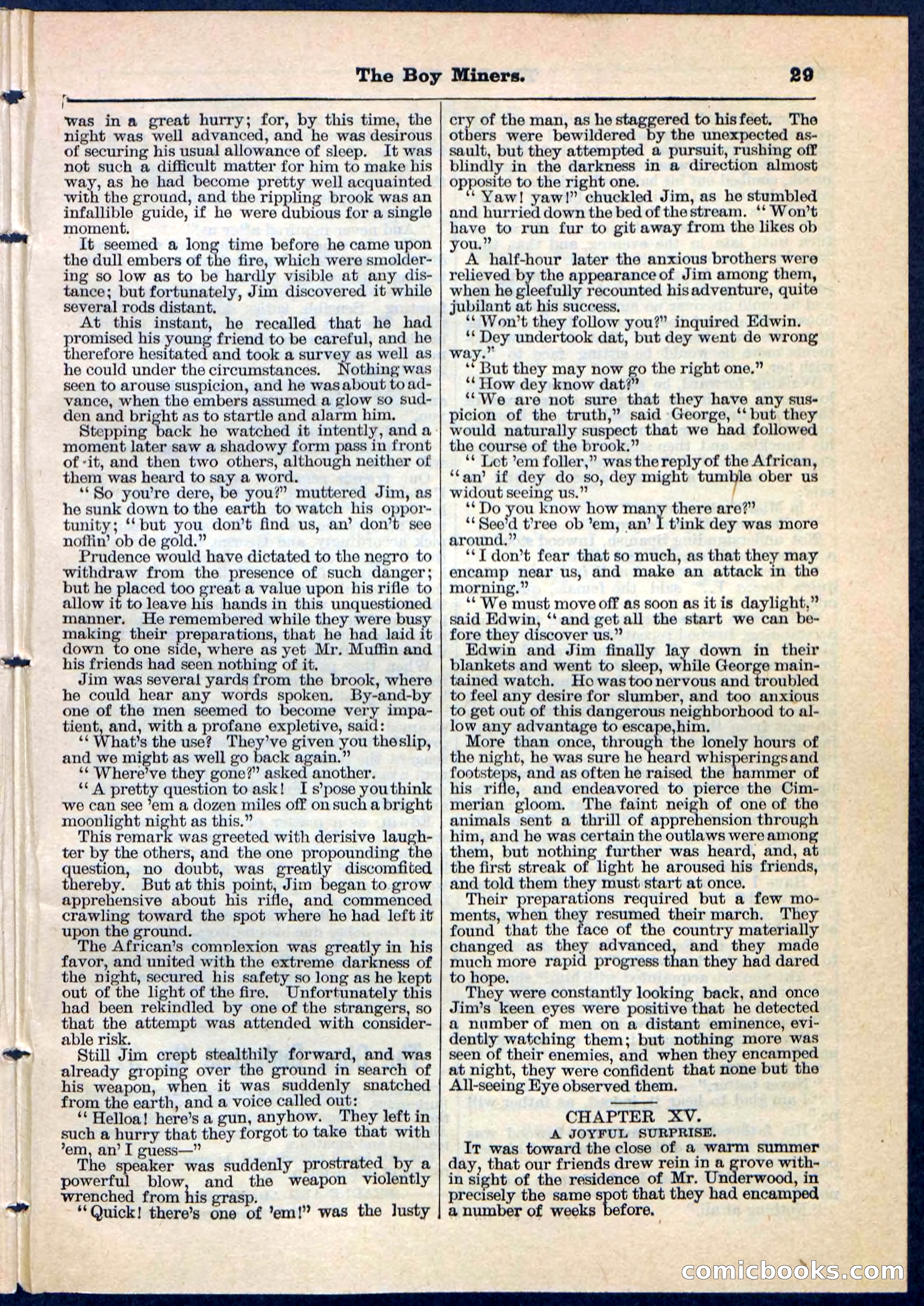 The Boy Miners; or, The Enchanted Island — page 29 of 32