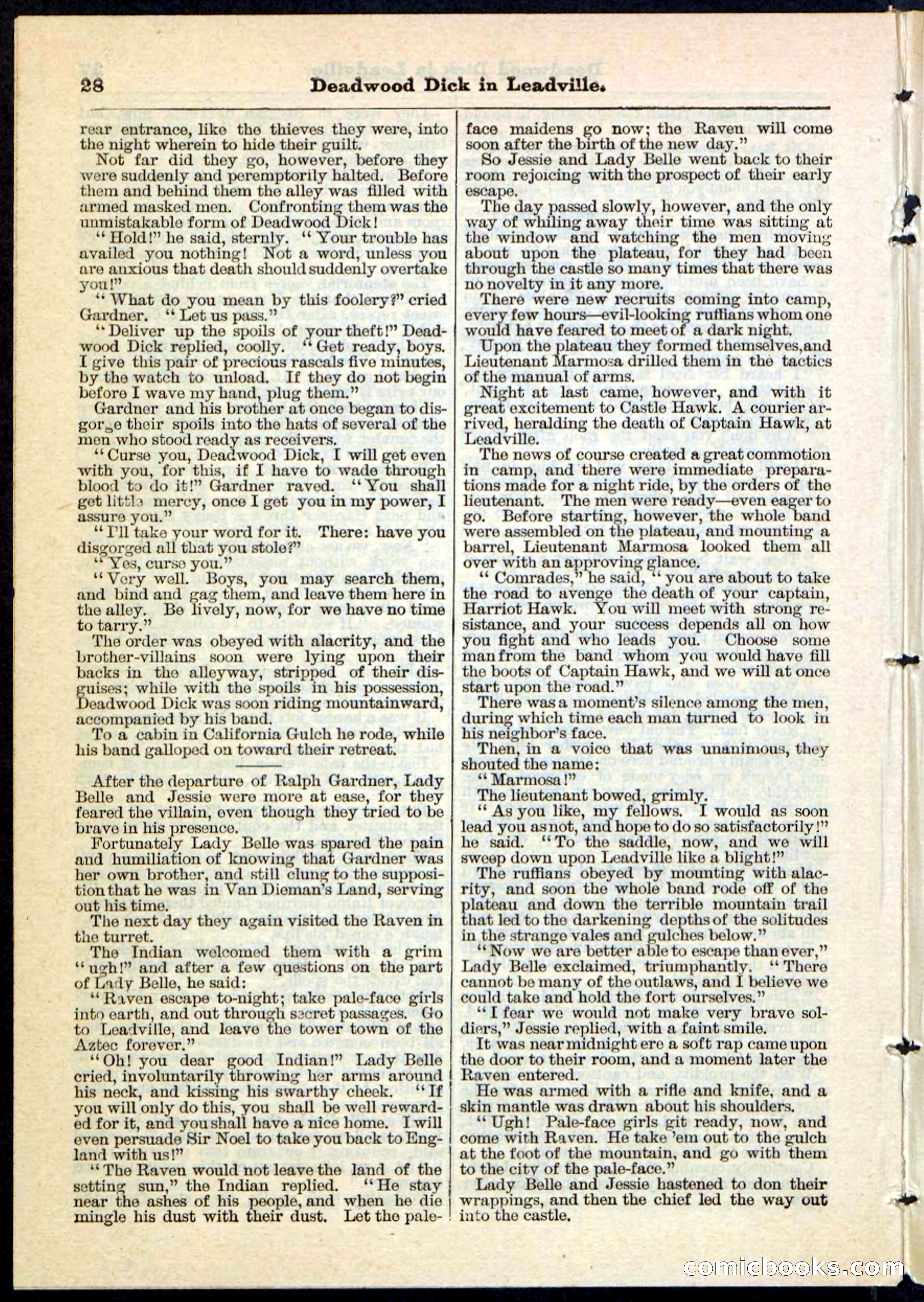 Beadle's Pocket Library No. 88 — page 28 of 32