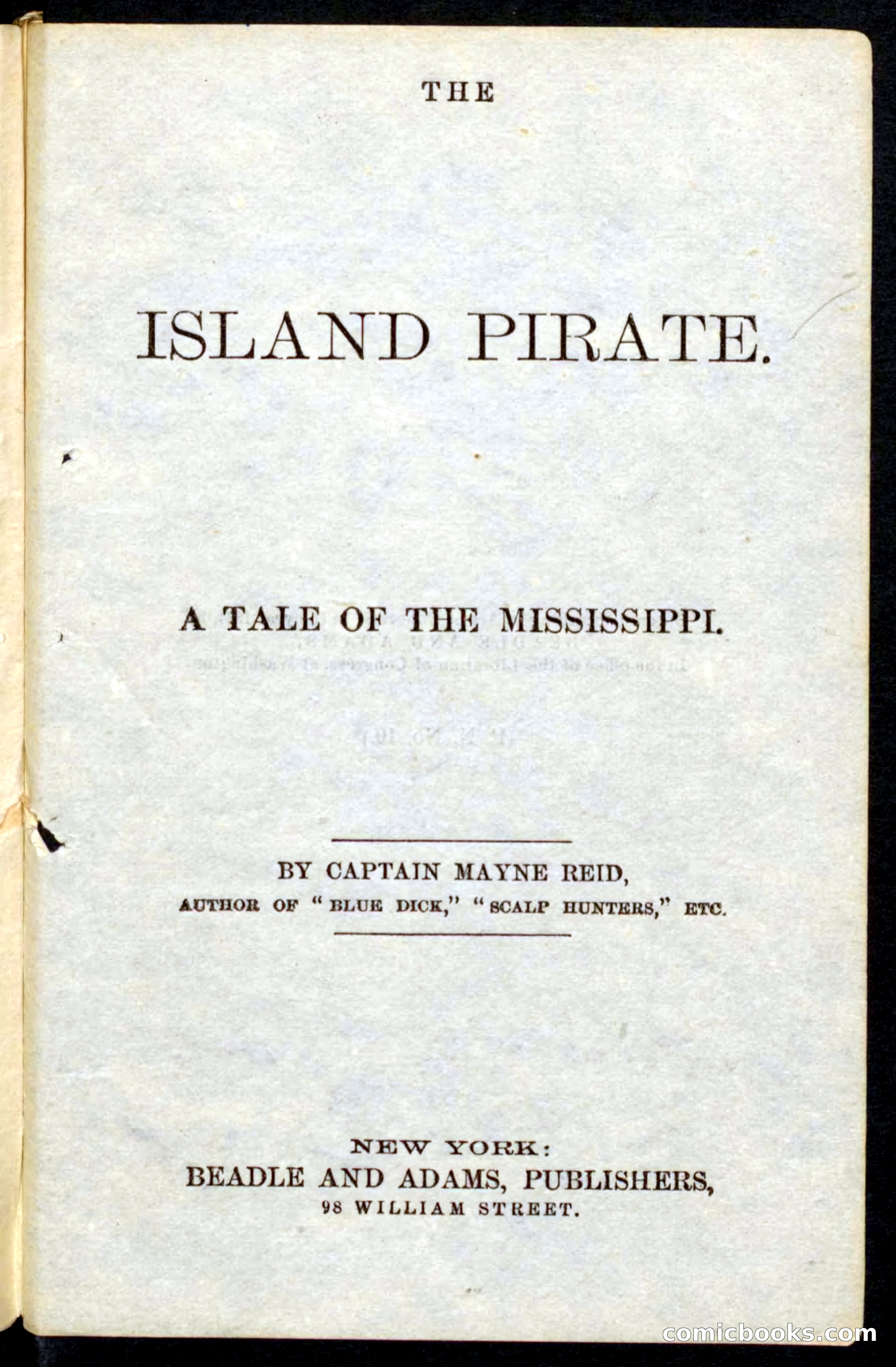 Beadle's Pocket Novels No. 10 — page 5 of 100