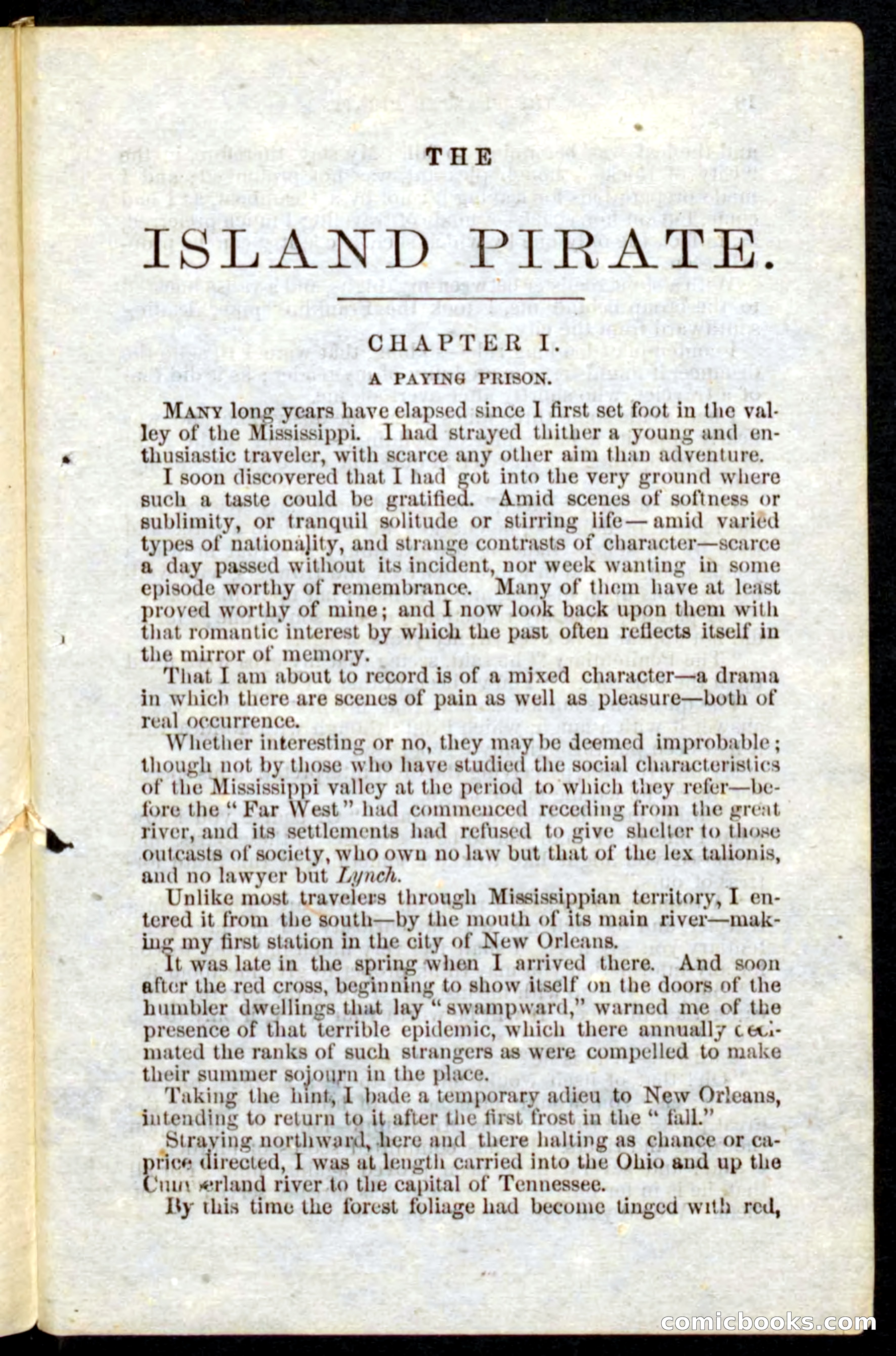 Beadle's Pocket Novels No. 10 — page 7 of 100