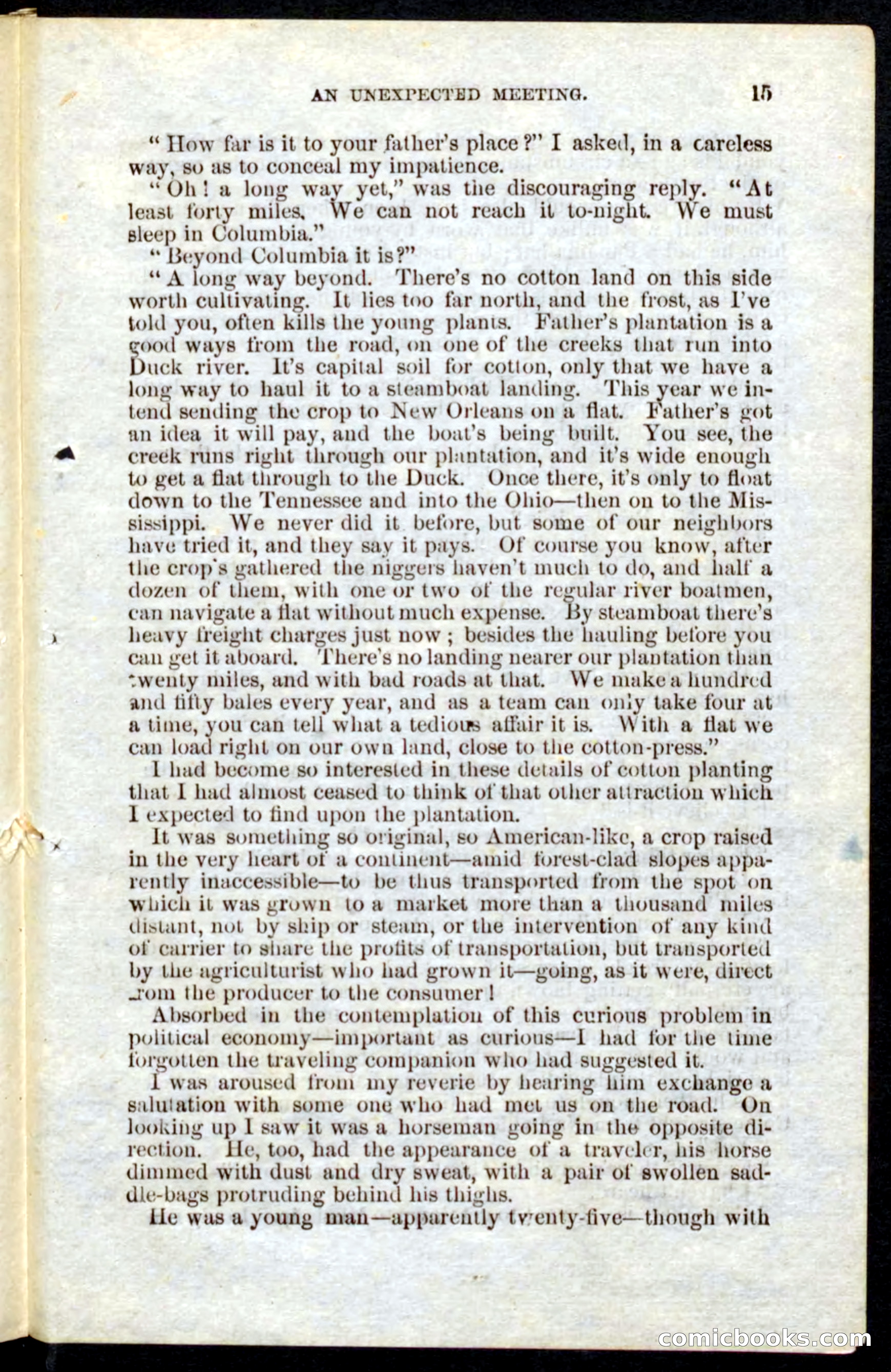 Beadle's Pocket Novels No. 10 — page 13 of 100