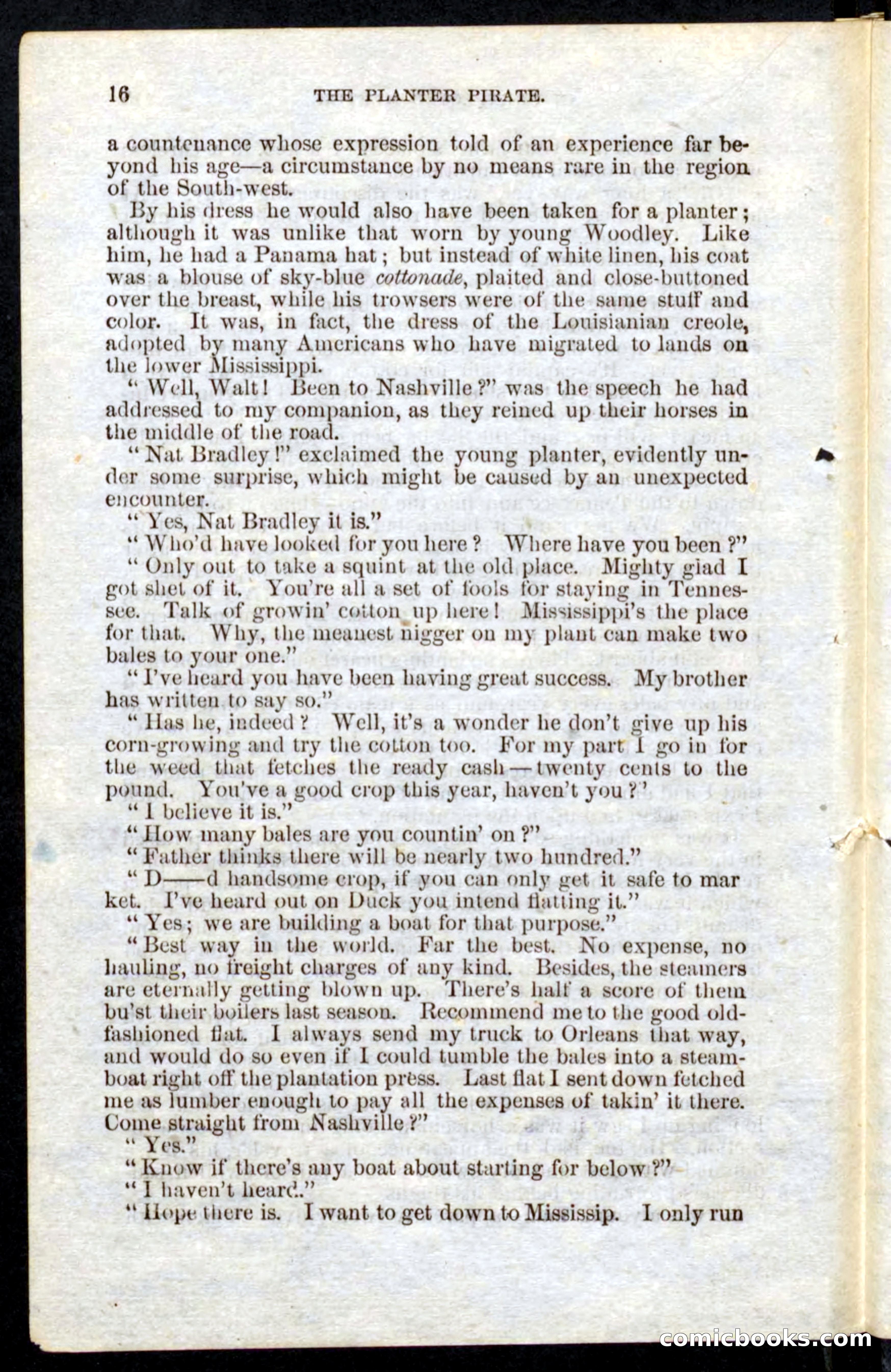 Beadle's Pocket Novels No. 10 — page 14 of 100