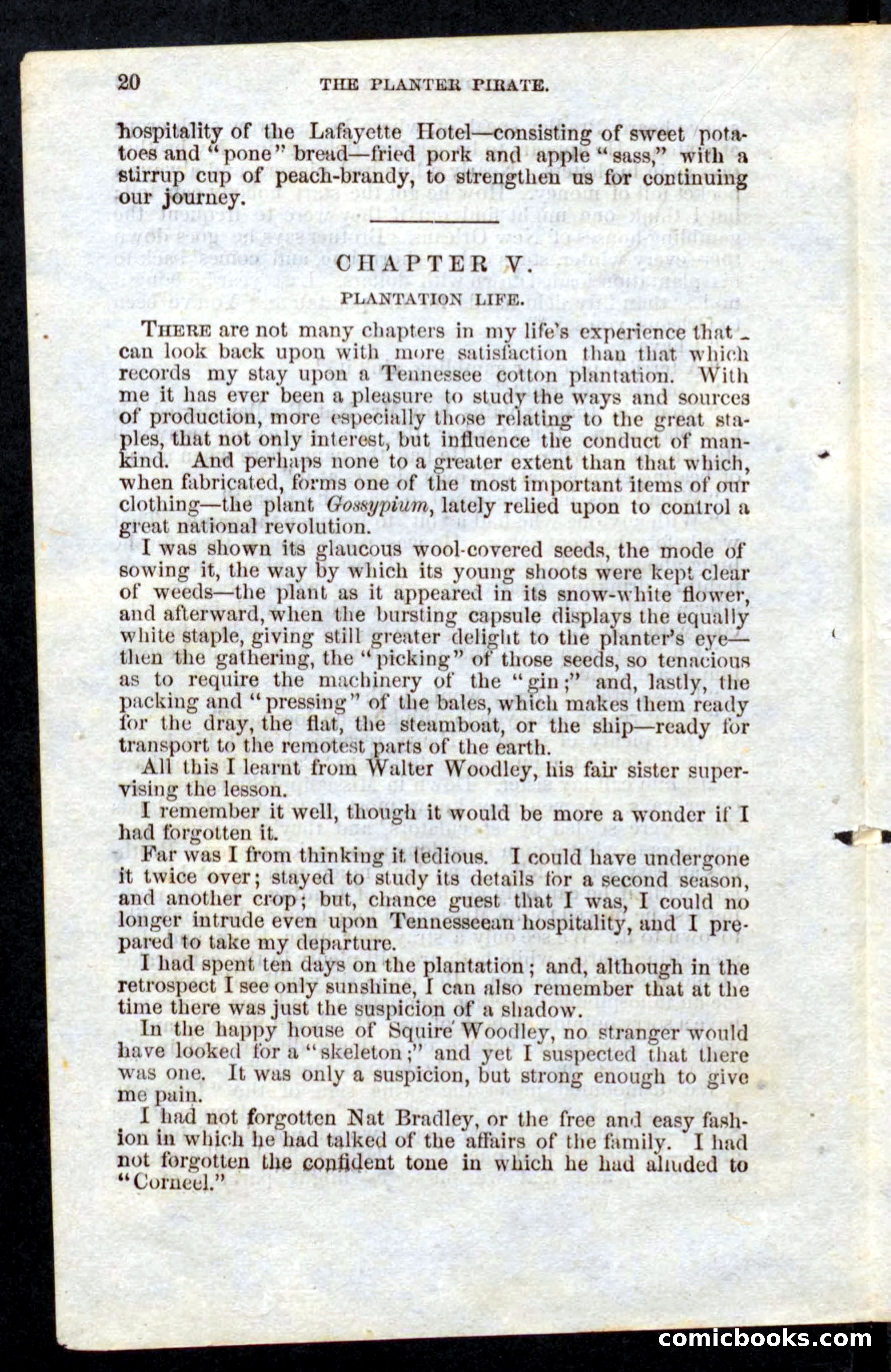 Beadle's Pocket Novels No. 10 — page 18 of 100