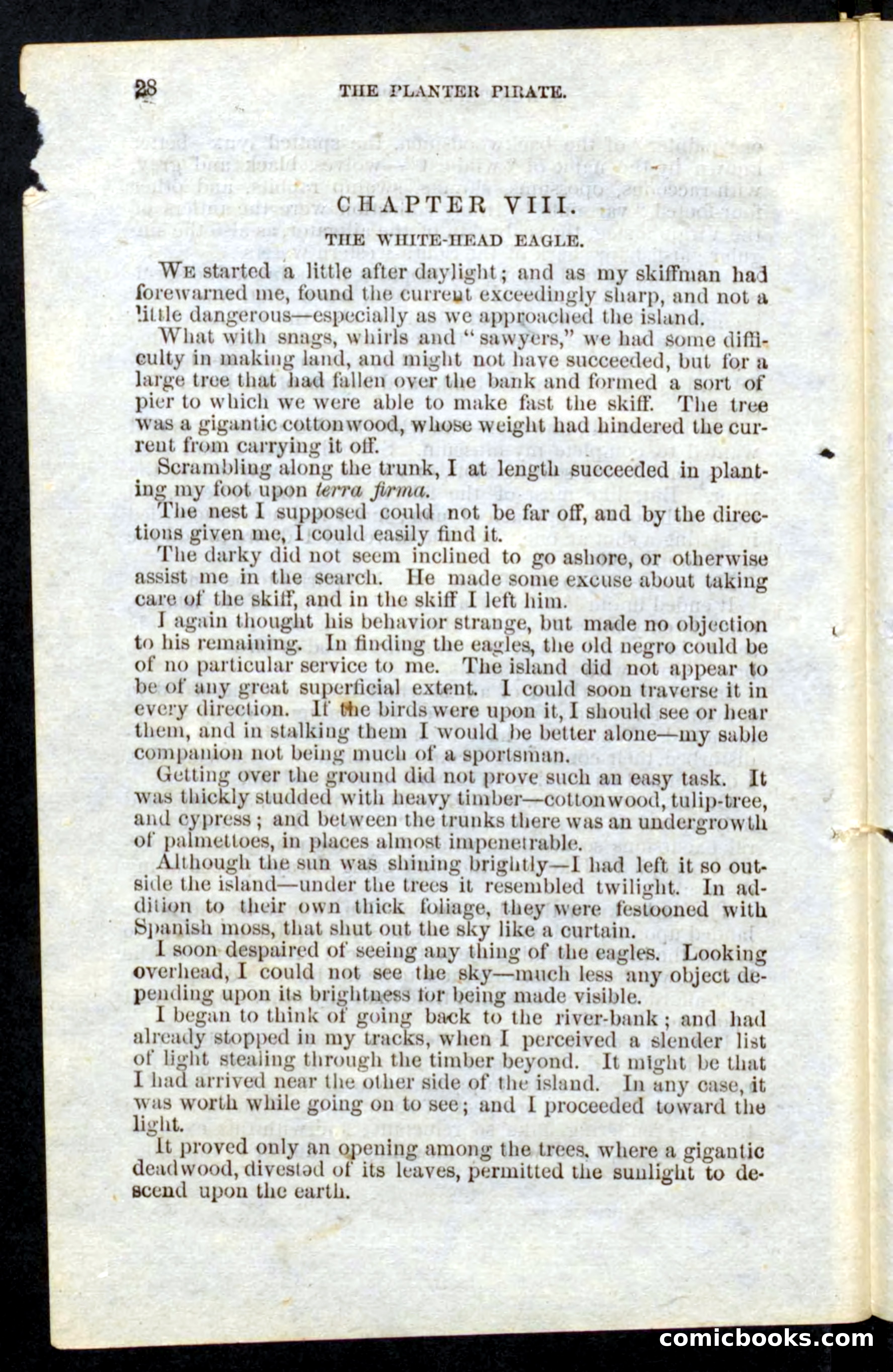 Beadle's Pocket Novels No. 10 — page 26 of 100