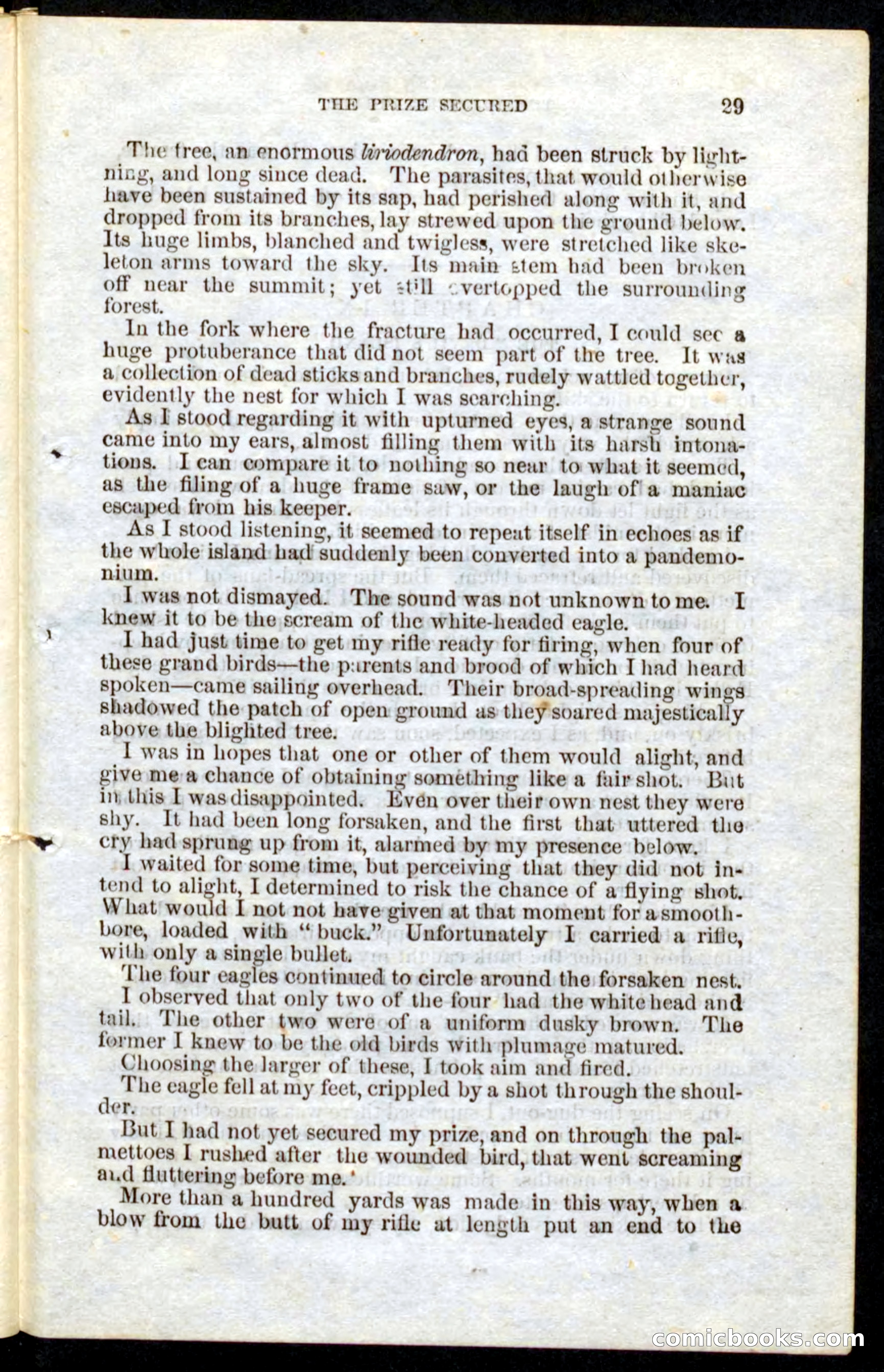 Beadle's Pocket Novels No. 10 — page 27 of 100