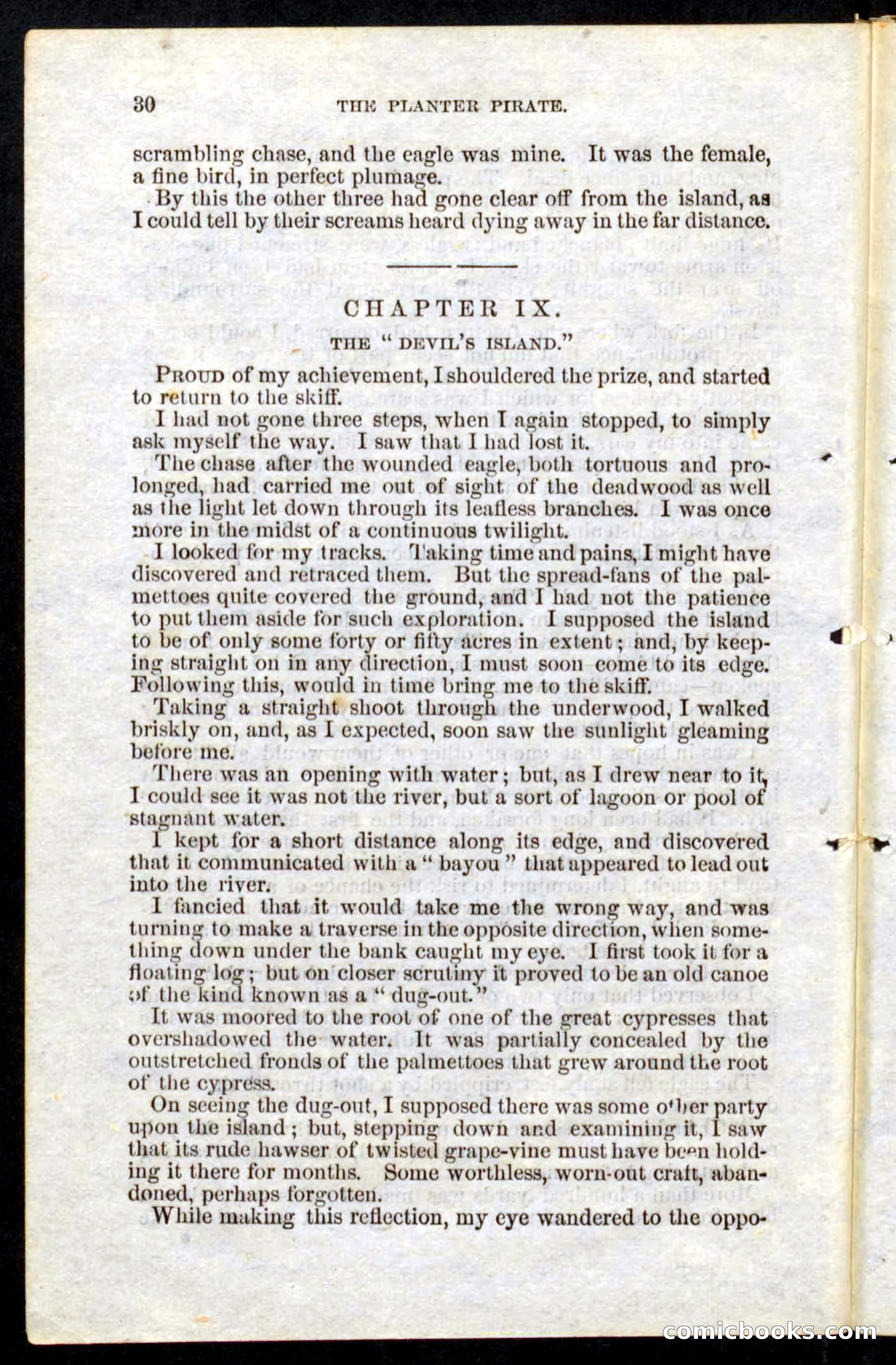 Beadle's Pocket Novels No. 10 — page 28 of 100