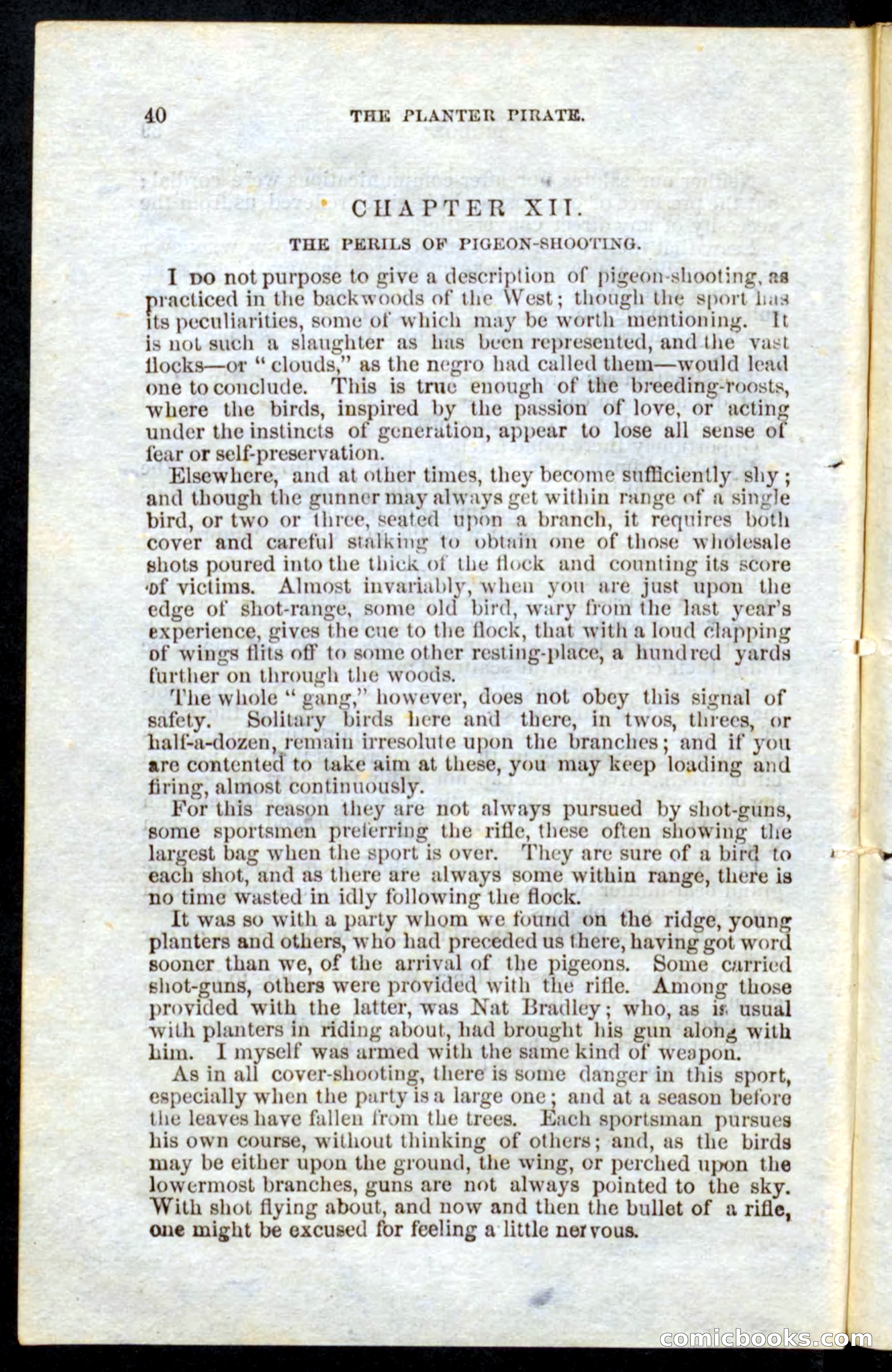 Beadle's Pocket Novels No. 10 — page 38 of 100