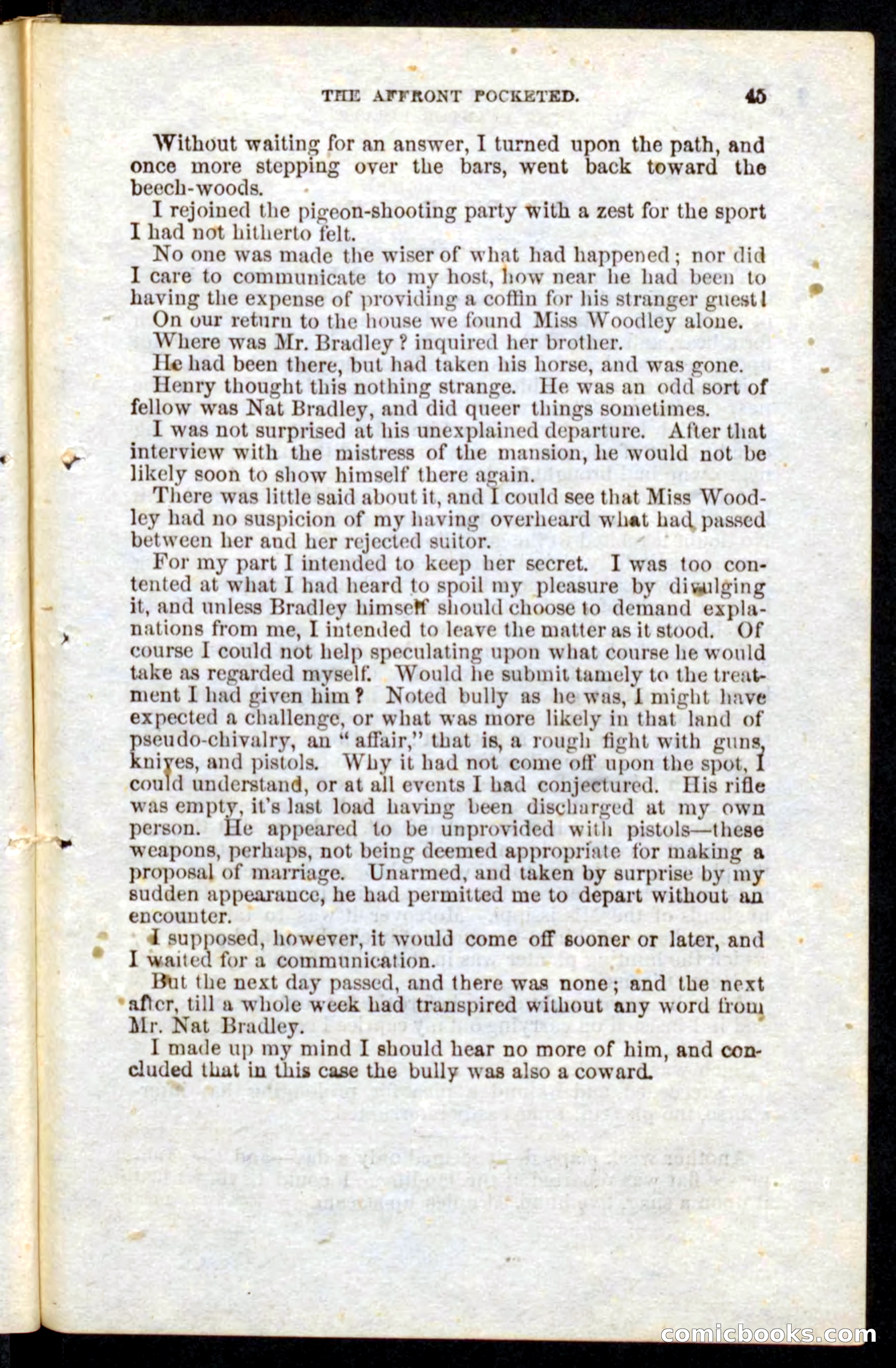 Beadle's Pocket Novels No. 10 — page 43 of 100