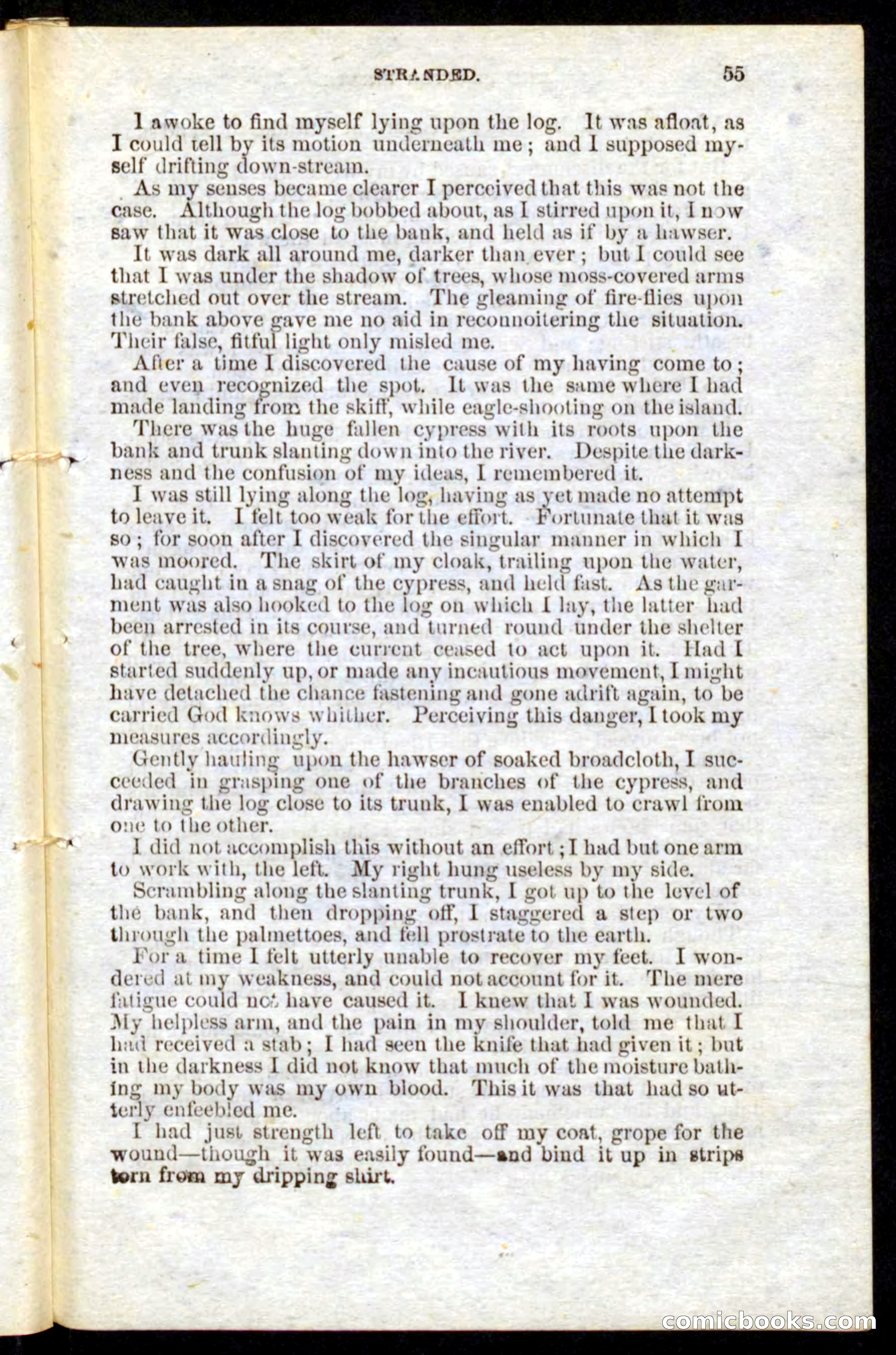 Beadle's Pocket Novels No. 10 — page 53 of 100