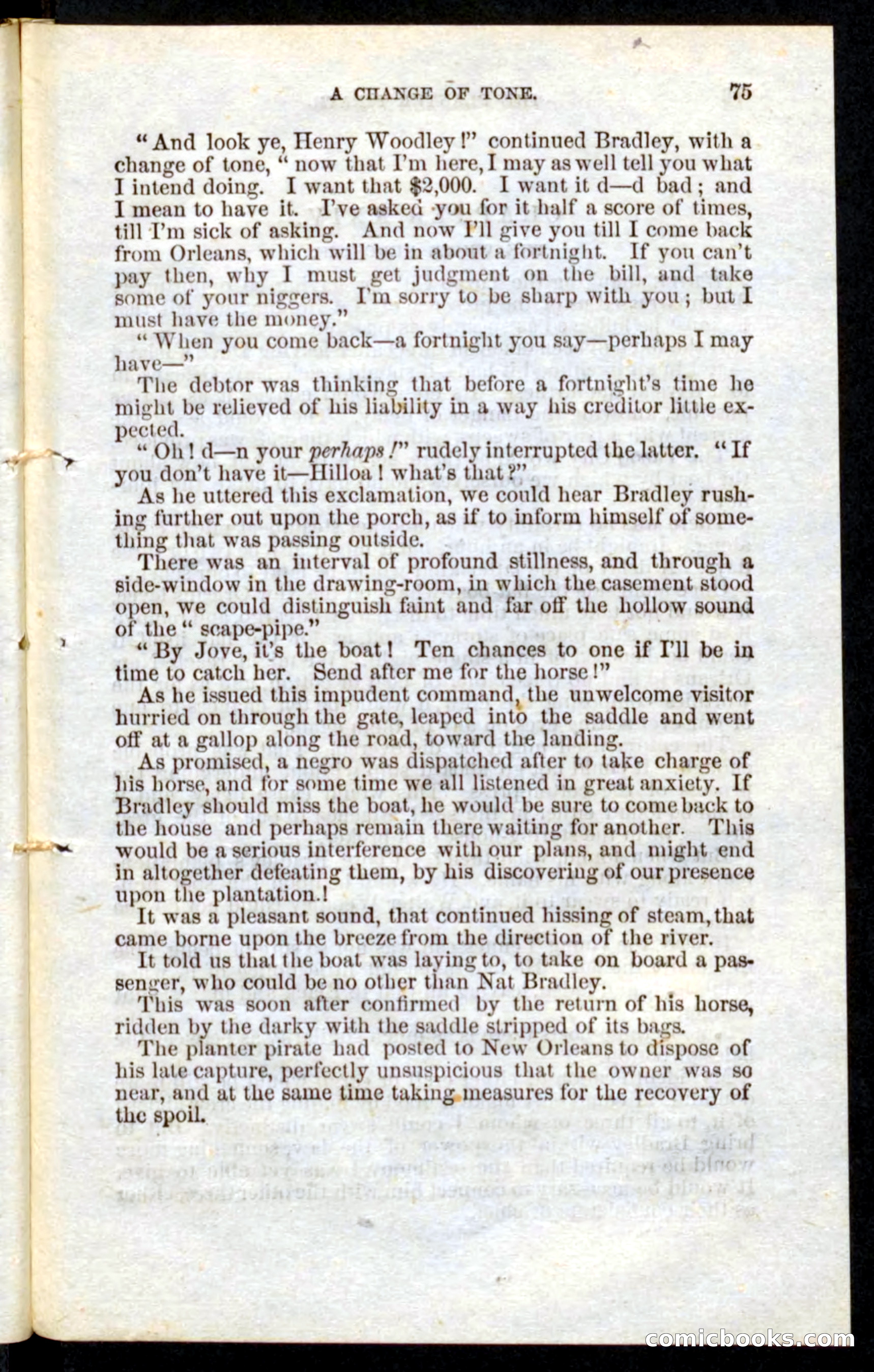 Beadle's Pocket Novels No. 10 — page 73 of 100