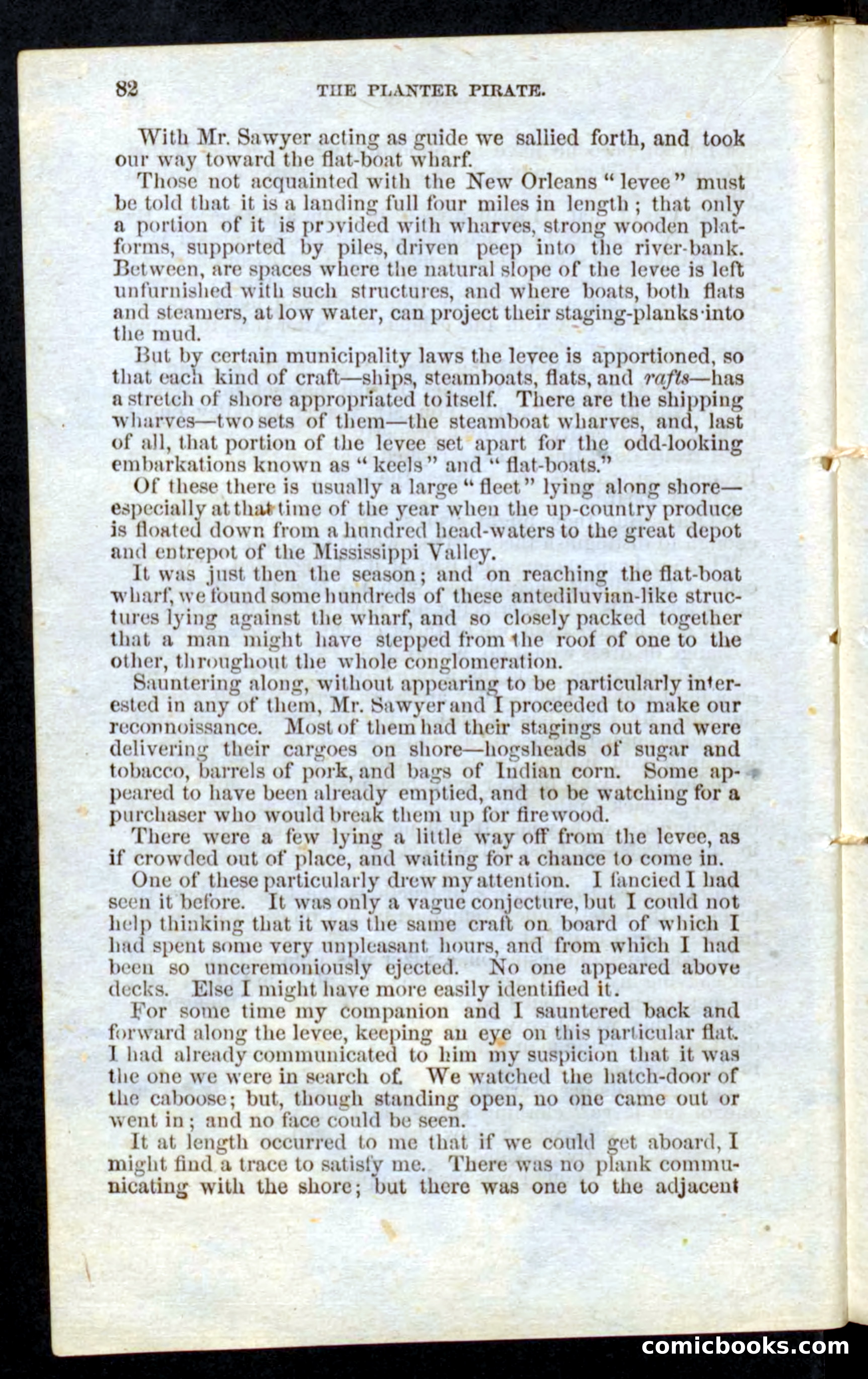 Beadle's Pocket Novels No. 10 — page 80 of 100