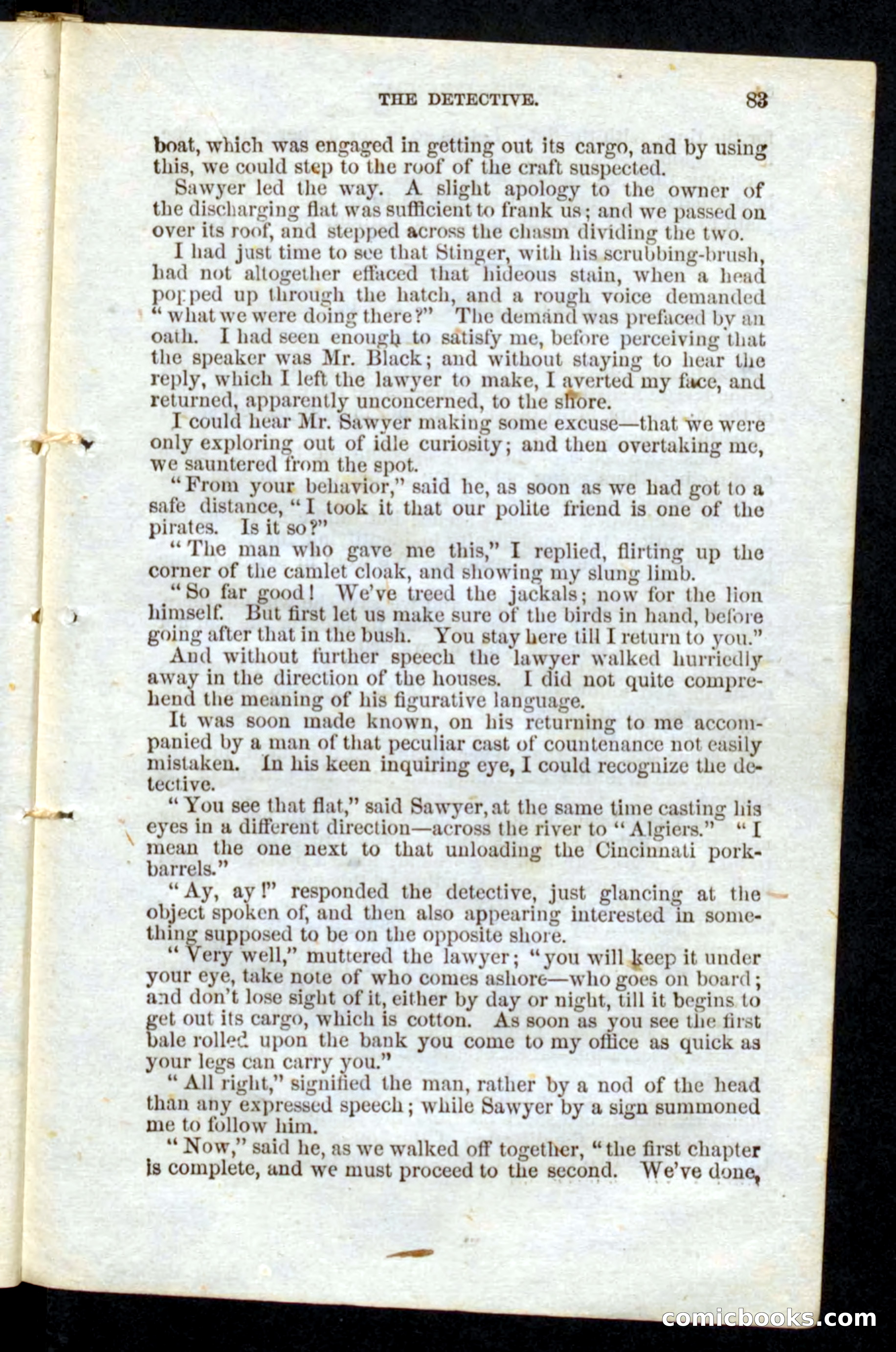 Beadle's Pocket Novels No. 10 — page 81 of 100
