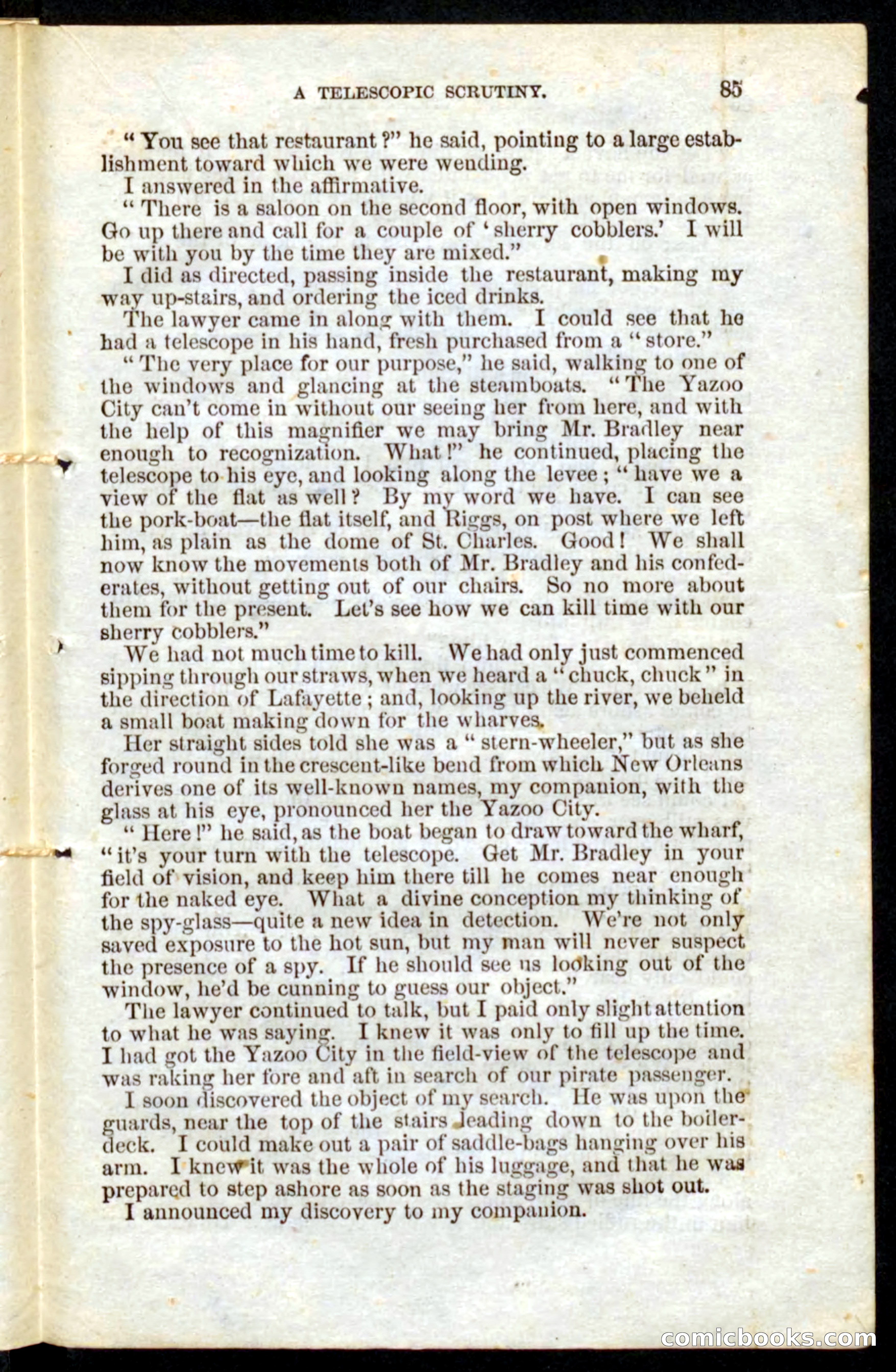 Beadle's Pocket Novels No. 10 — page 83 of 100