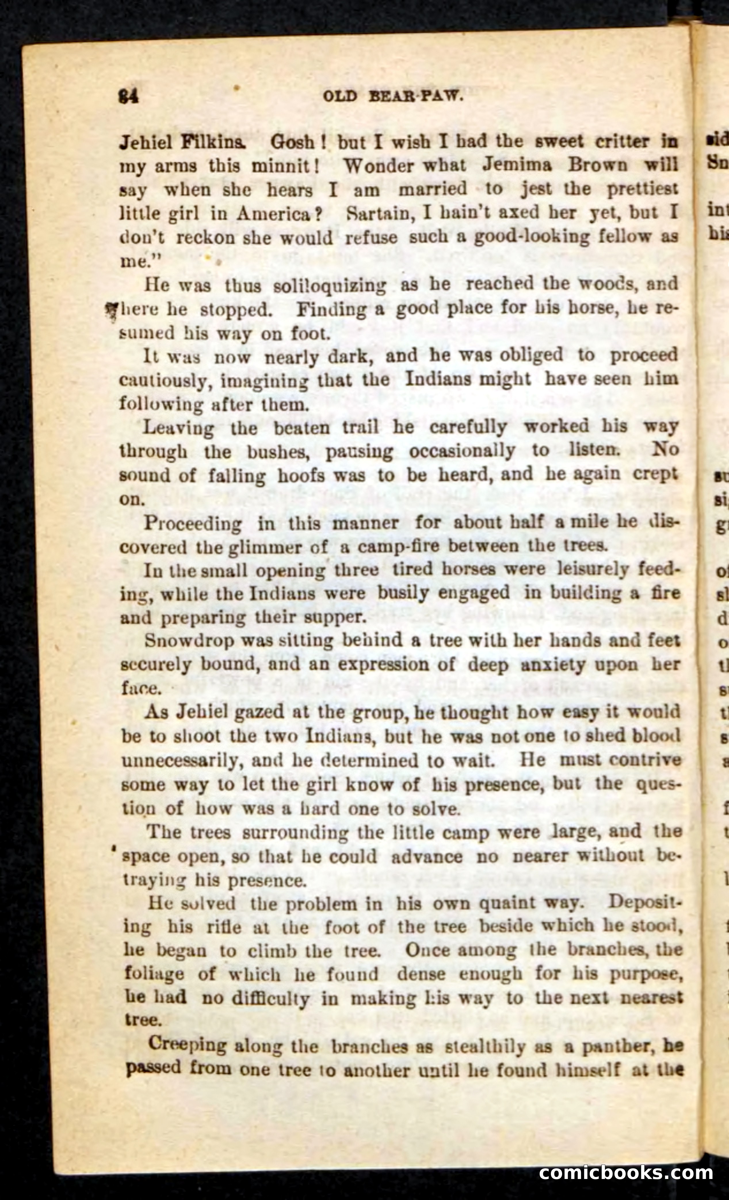 Old Bear-Paw — page 30 of 100