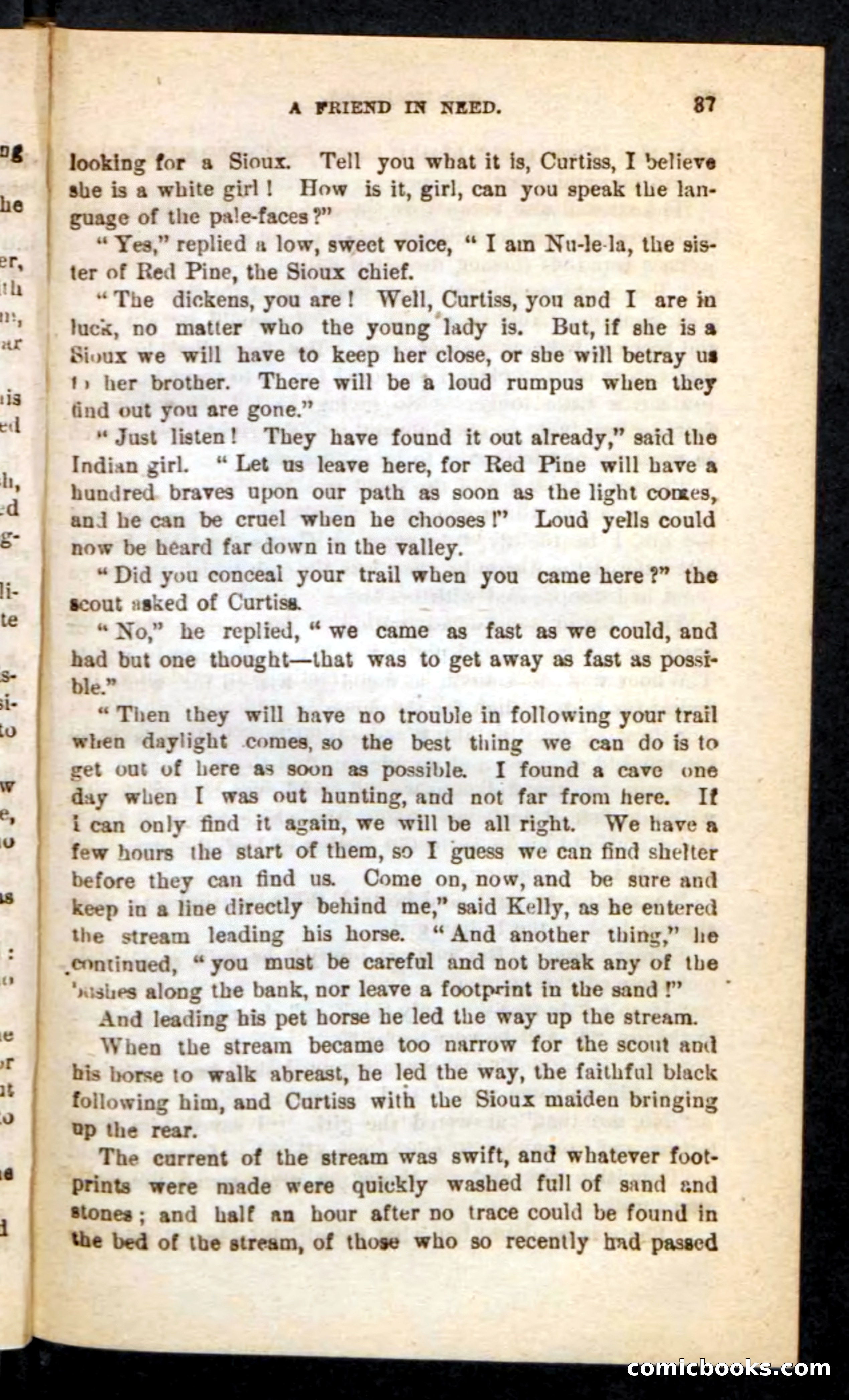 Old Bear-Paw — page 33 of 100
