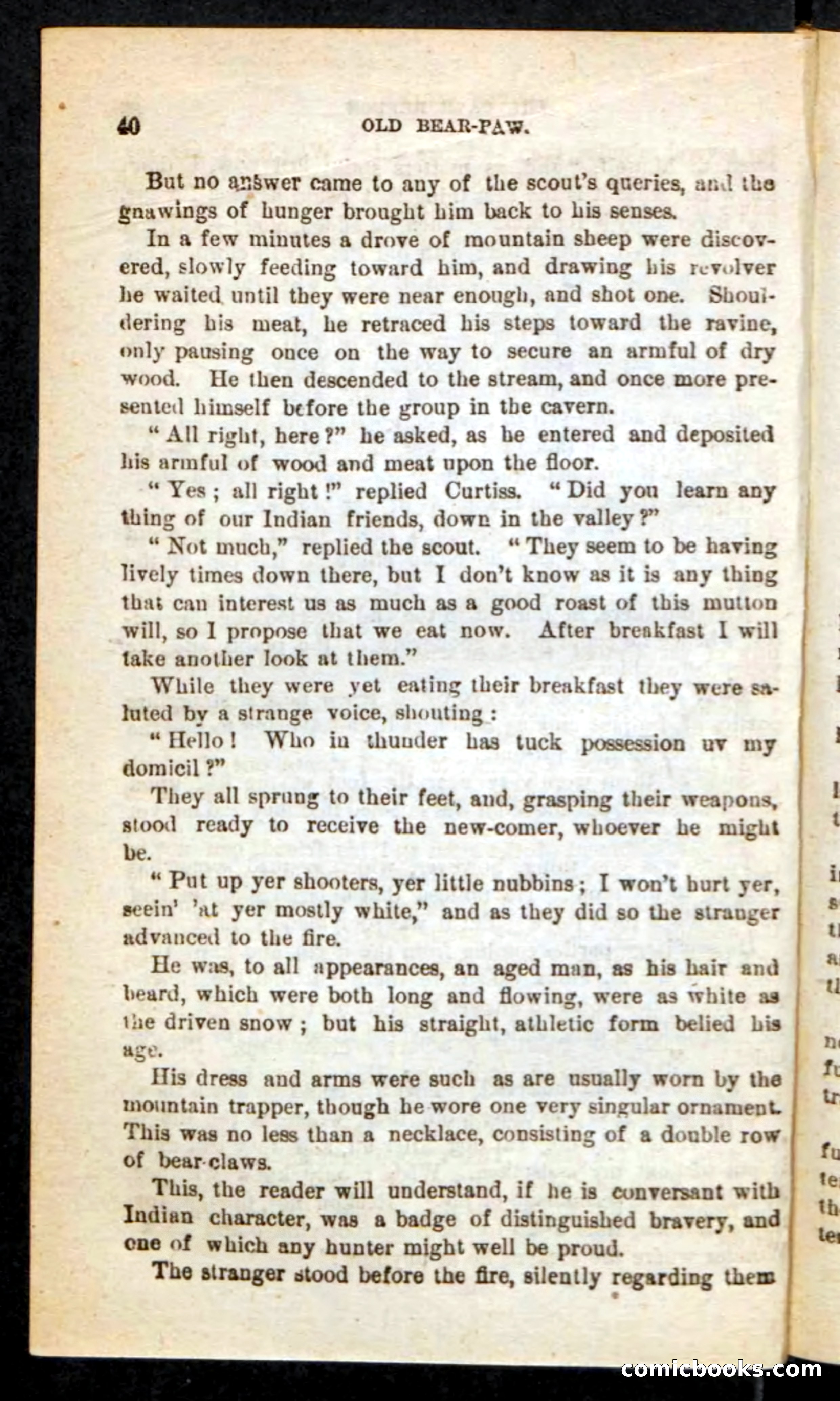 Old Bear-Paw — page 36 of 100