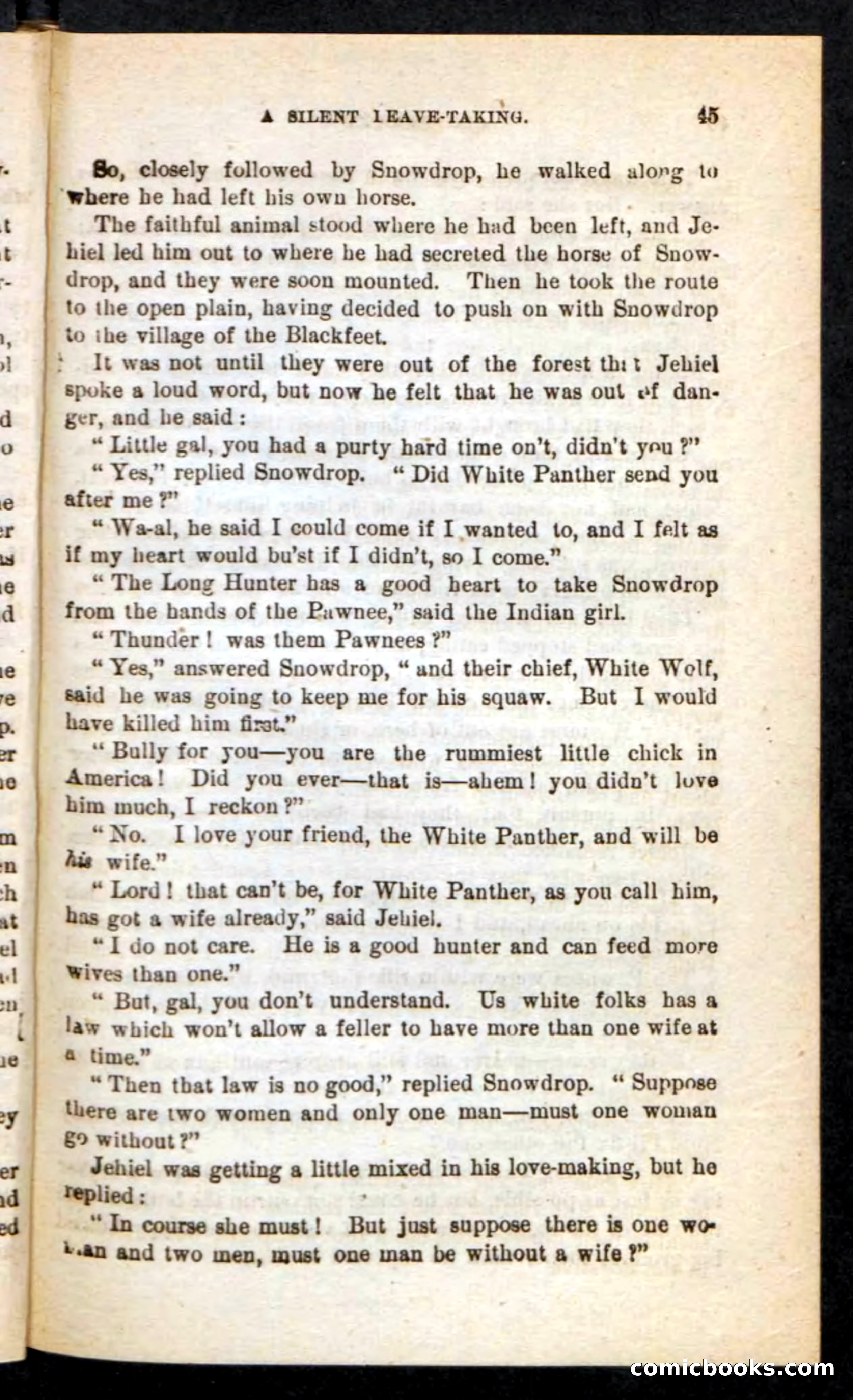 Old Bear-Paw — page 41 of 100