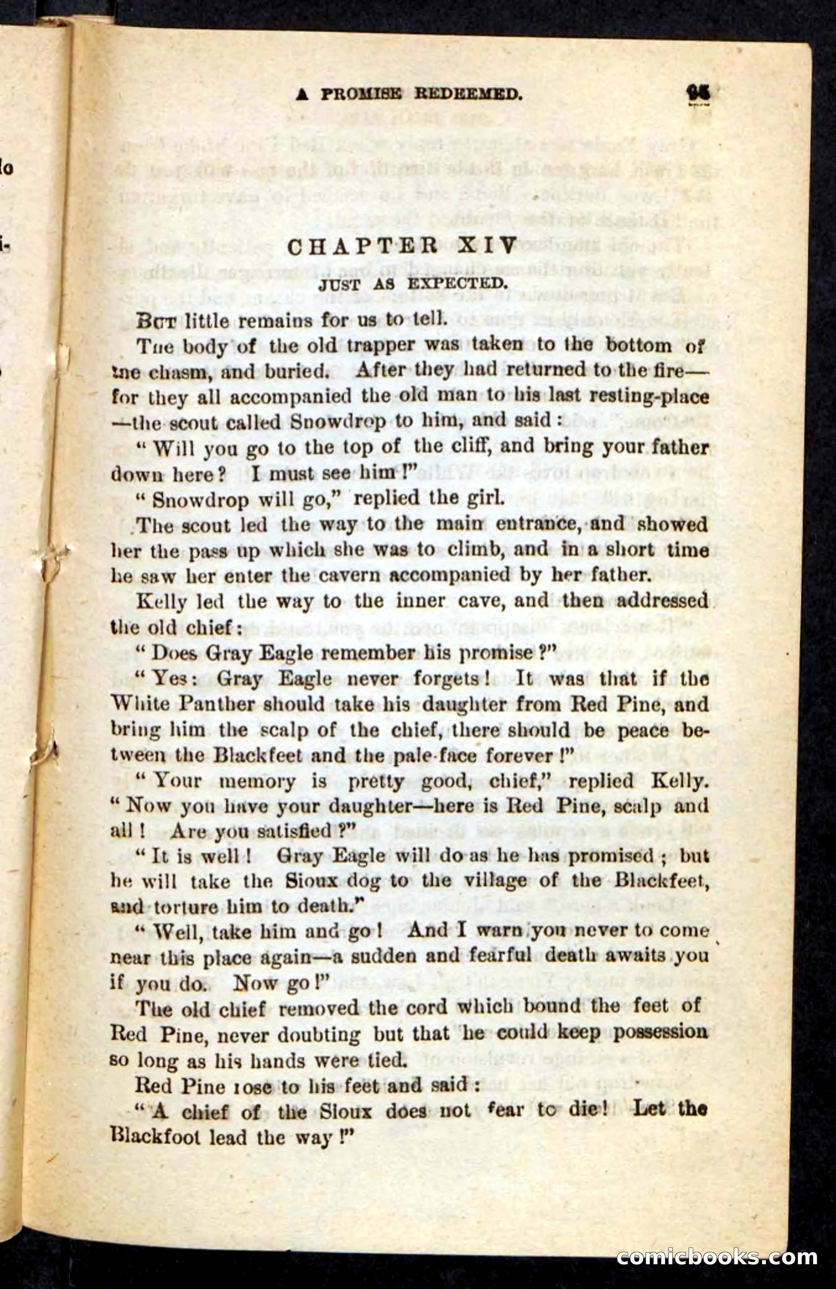 Old Bear-Paw — page 91 of 100