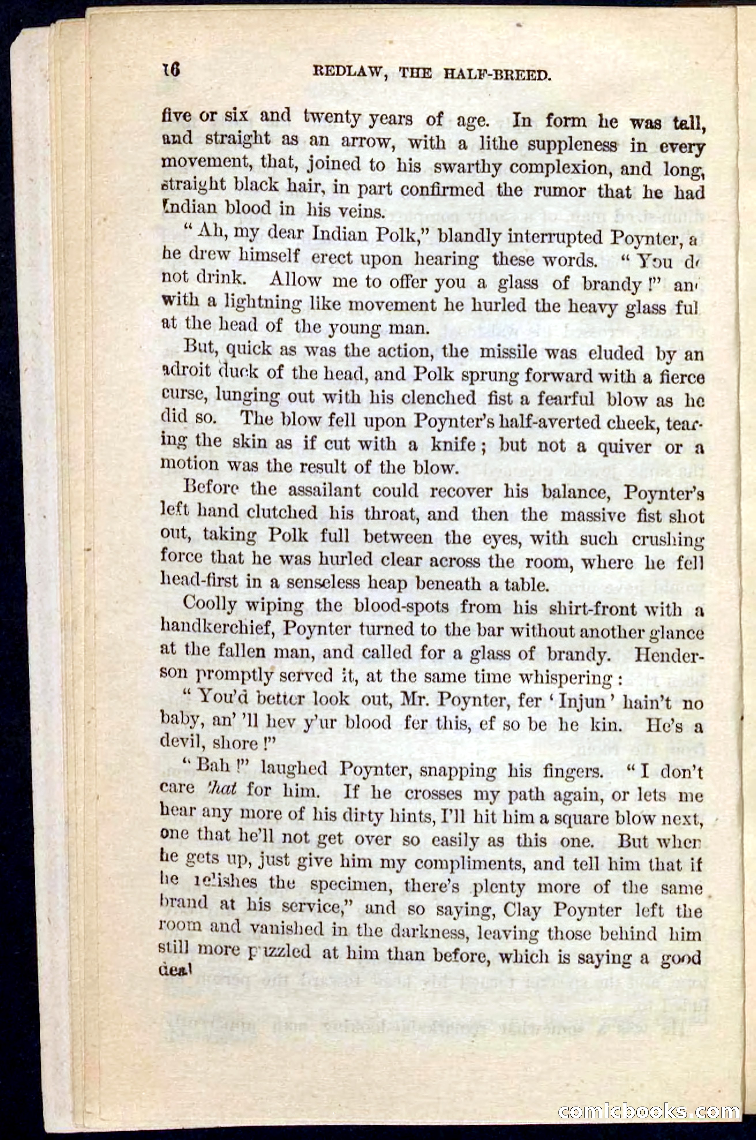 Beadle's Pocket Novels No. 101: Redlaw, the Half-Breed — page 12 of 100