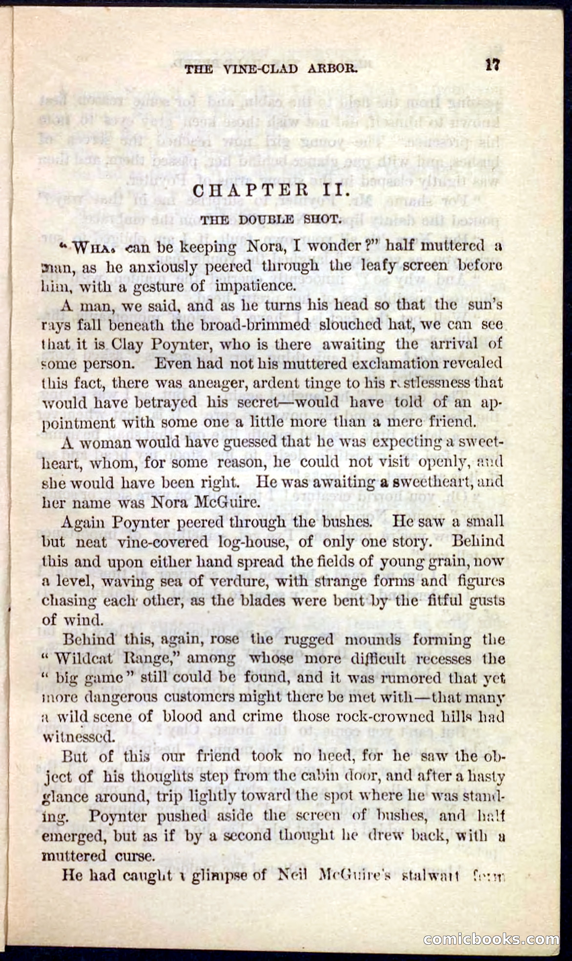 Beadle's Pocket Novels No. 101: Redlaw, the Half-Breed — page 13 of 100