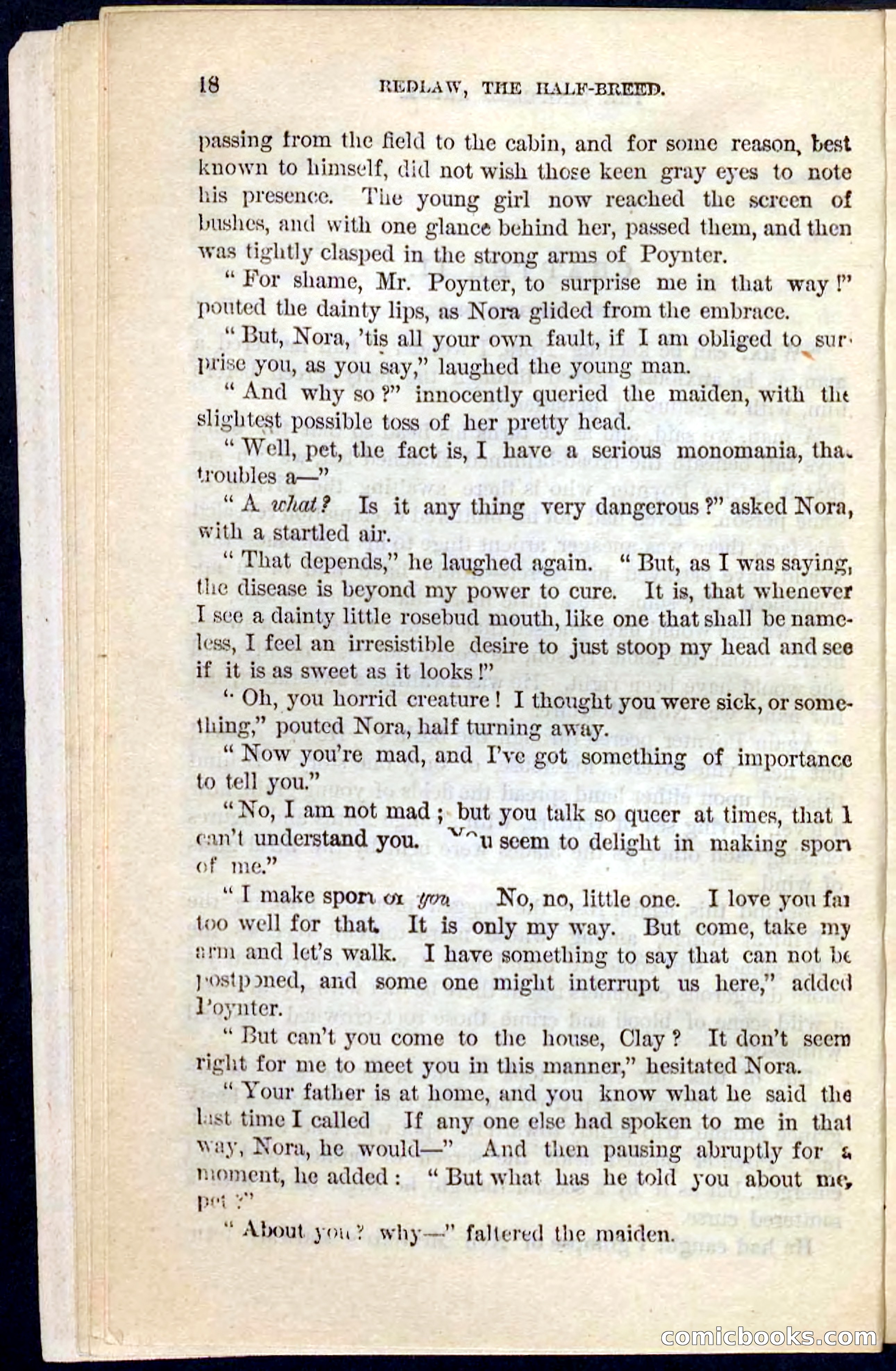 Beadle's Pocket Novels No. 101: Redlaw, the Half-Breed — page 14 of 100