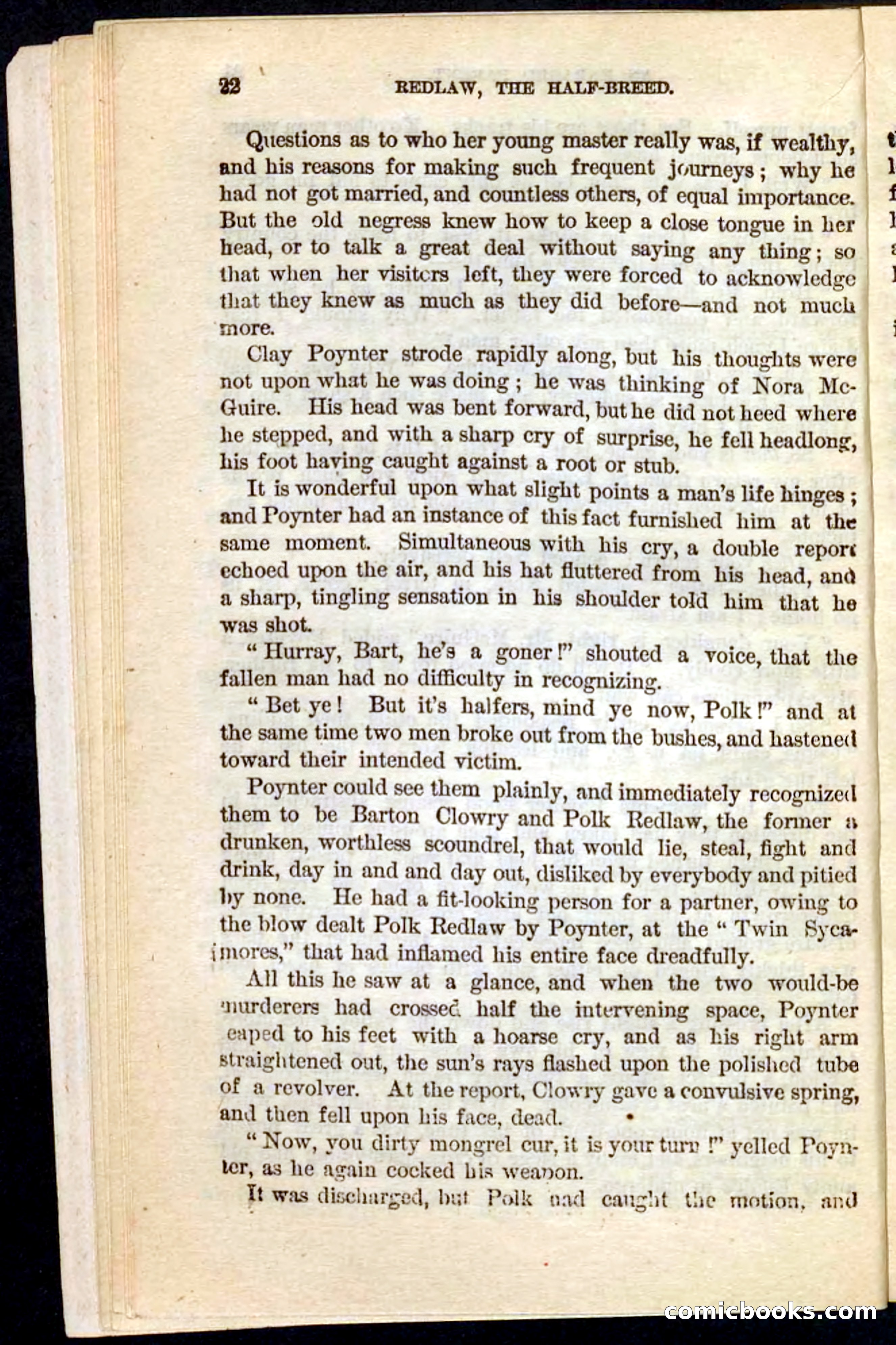 Beadle's Pocket Novels No. 101: Redlaw, the Half-Breed — page 18 of 100