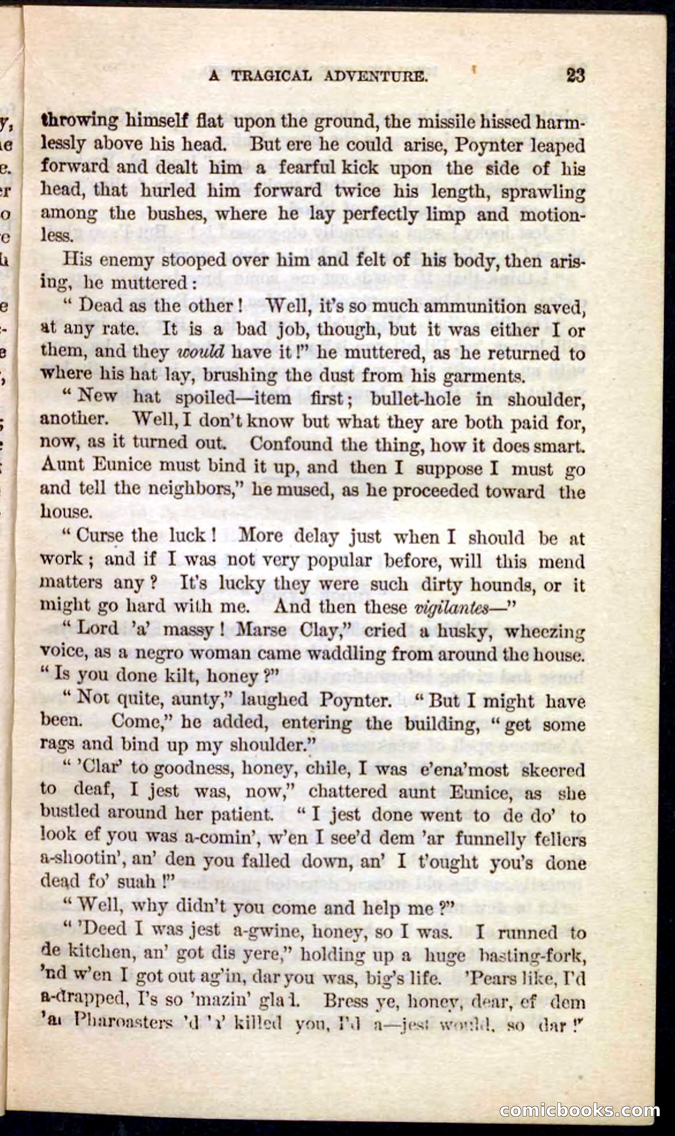 Beadle's Pocket Novels No. 101: Redlaw, the Half-Breed — page 19 of 100