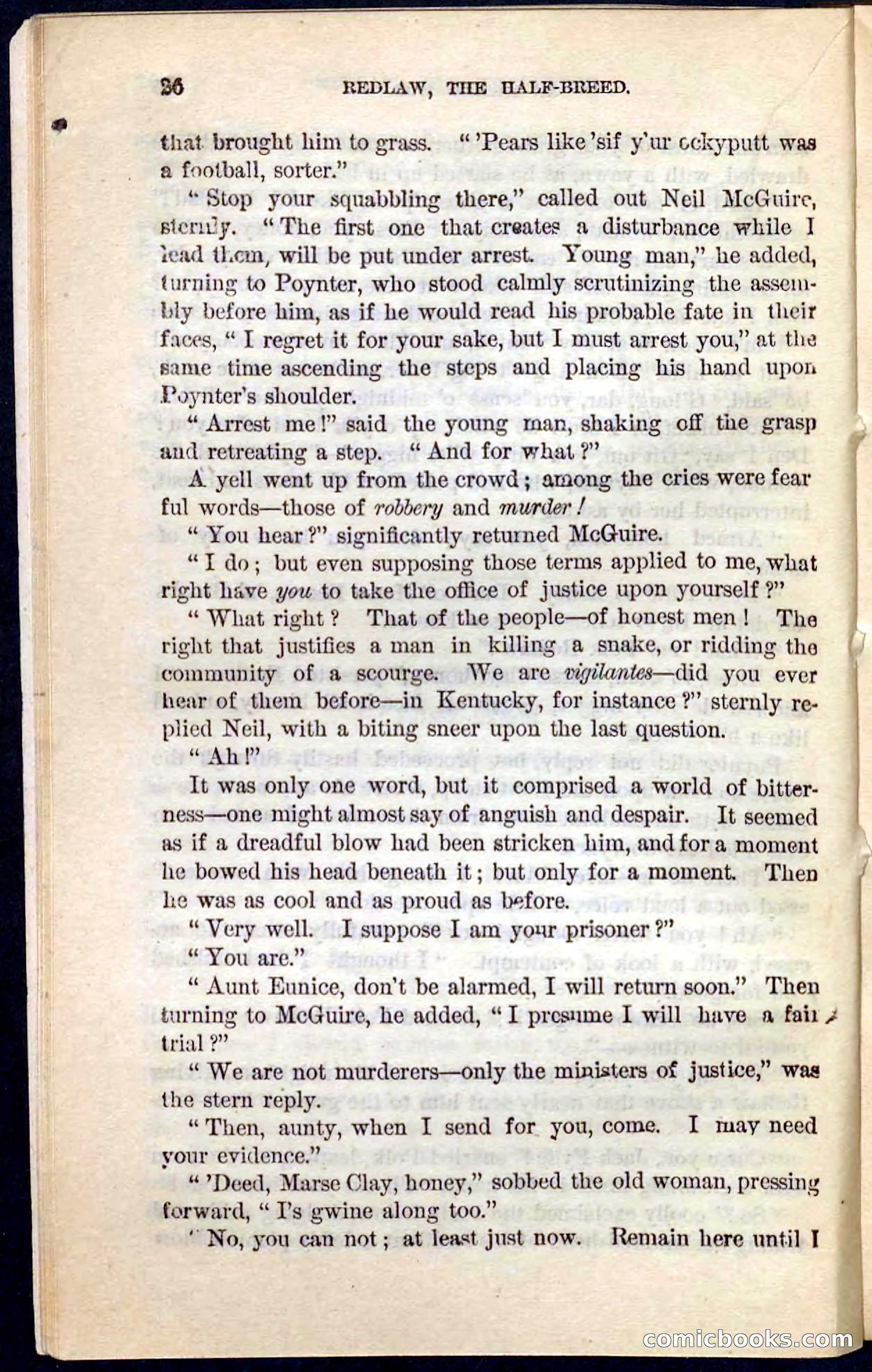 Beadle's Pocket Novels No. 101: Redlaw, the Half-Breed — page 22 of 100