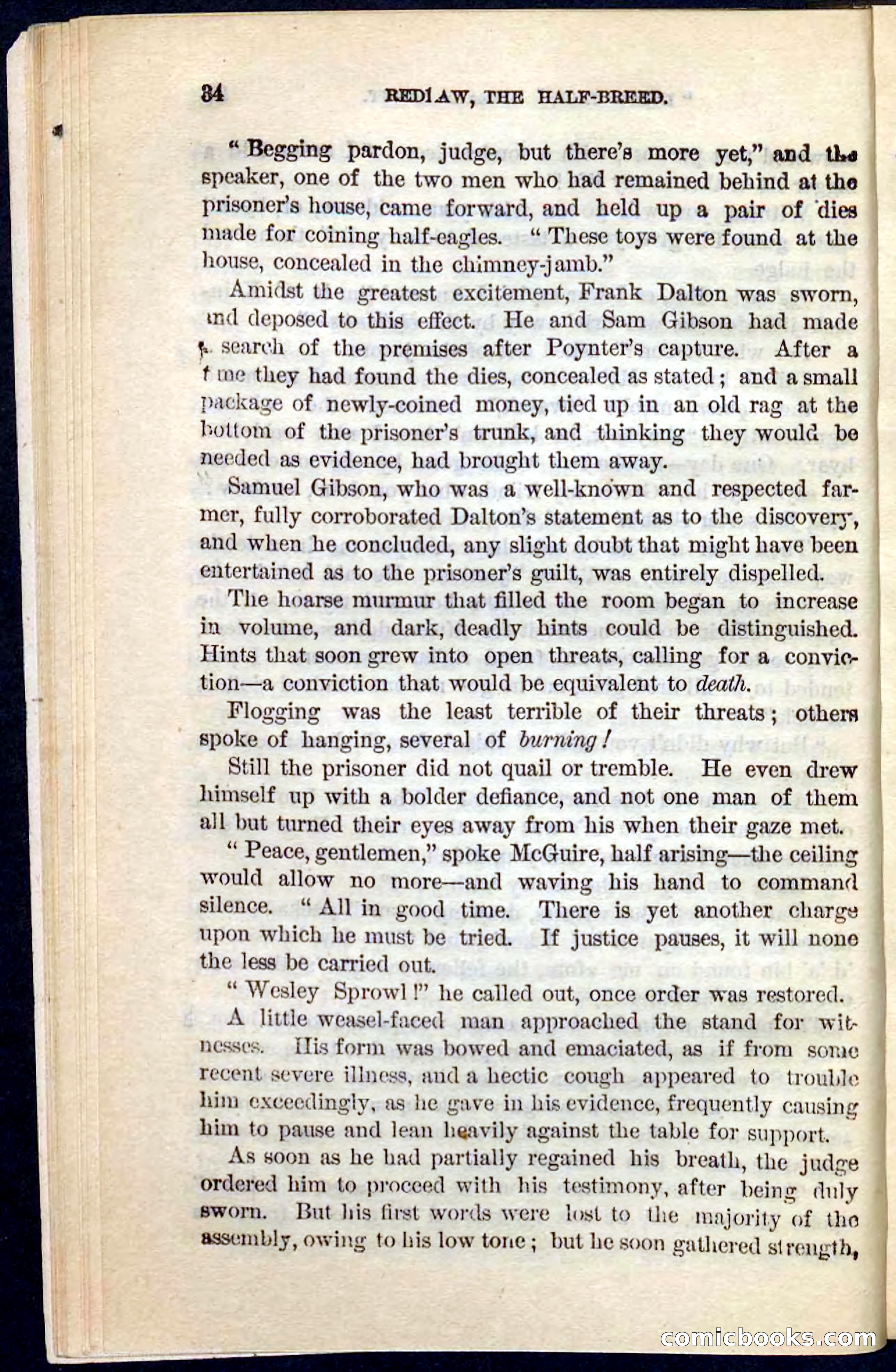 Beadle's Pocket Novels No. 101: Redlaw, the Half-Breed — page 30 of 100
