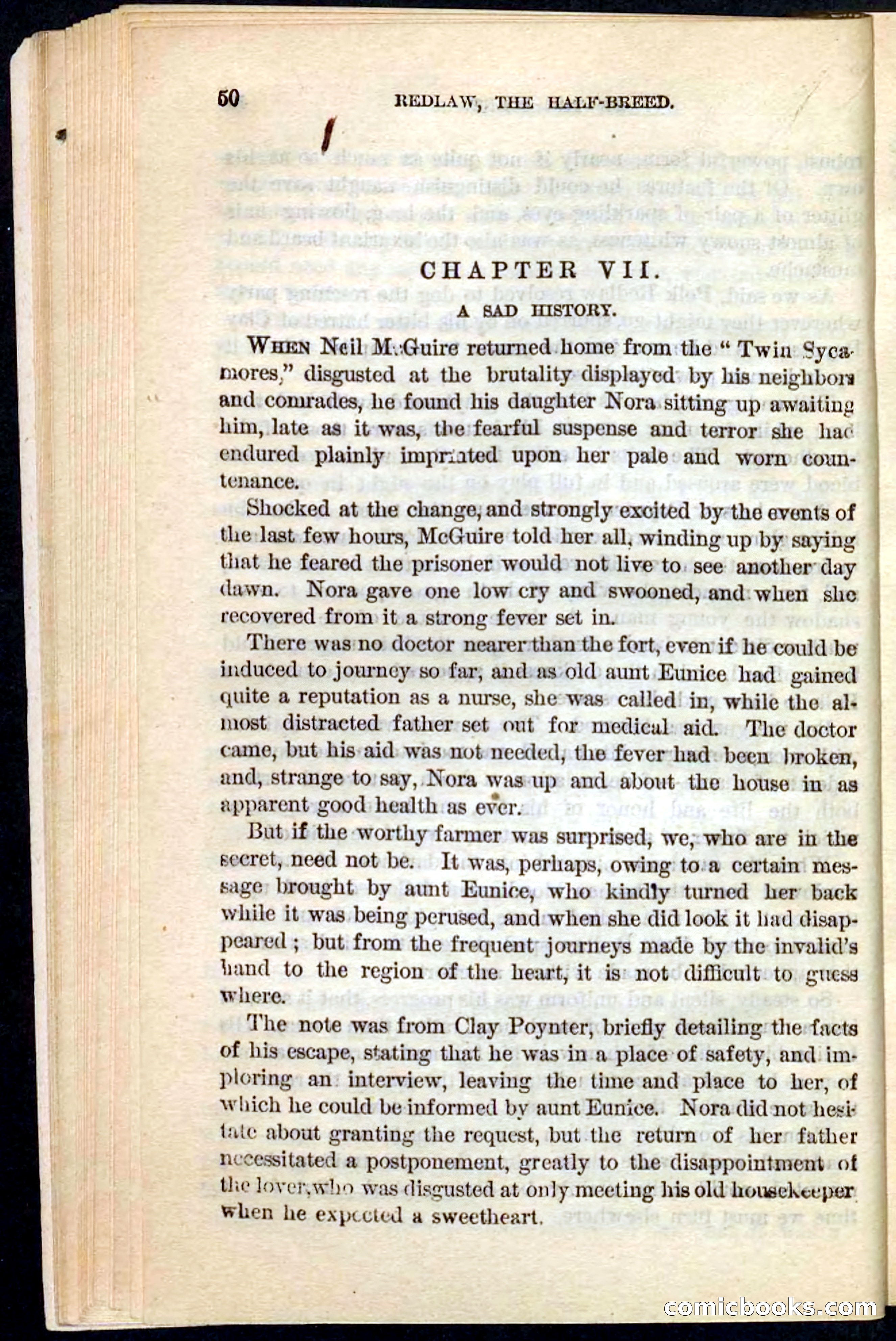 Beadle's Pocket Novels No. 101: Redlaw, the Half-Breed — page 46 of 100