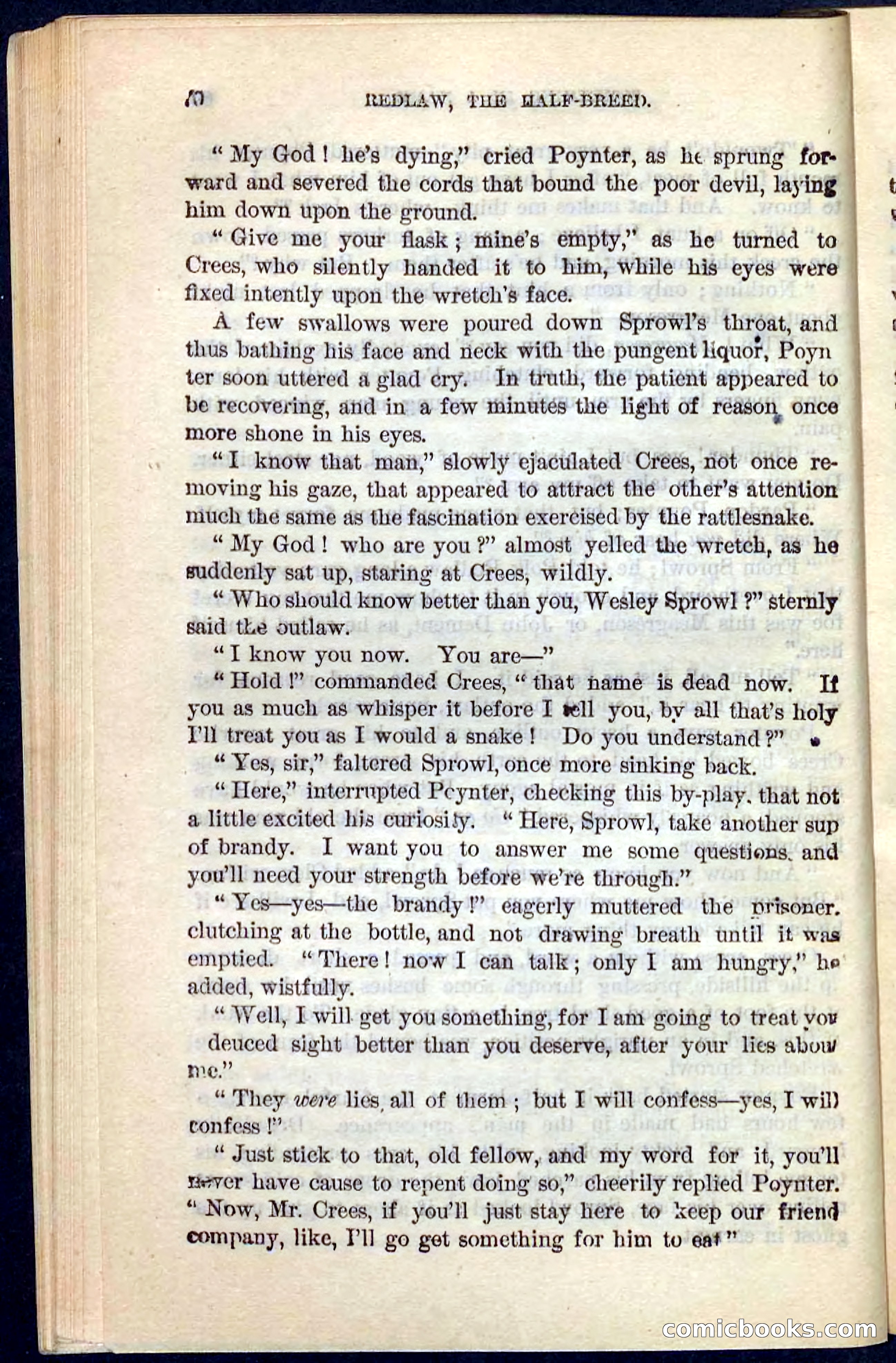 Beadle's Pocket Novels No. 101: Redlaw, the Half-Breed — page 66 of 100