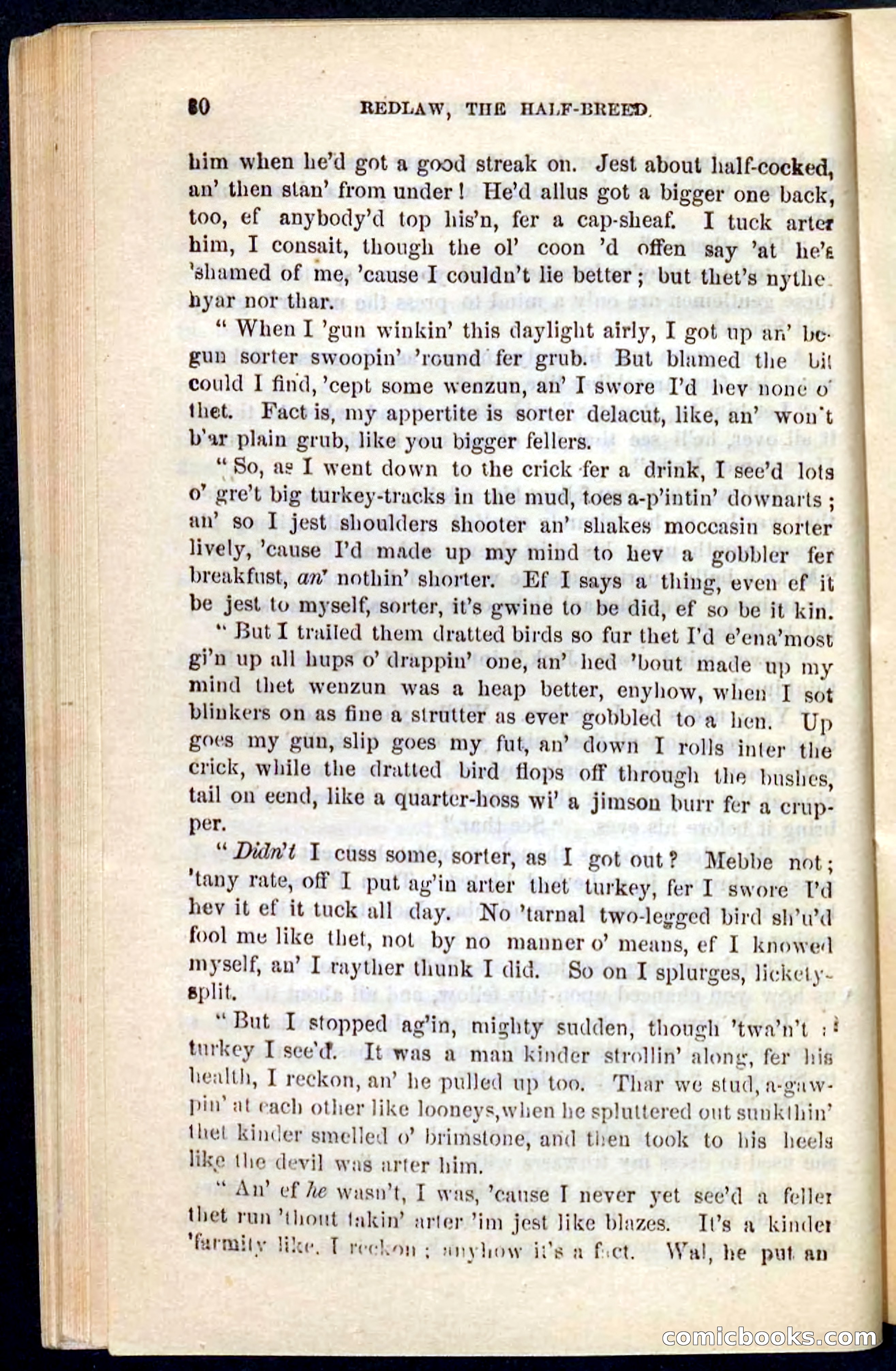 Beadle's Pocket Novels No. 101: Redlaw, the Half-Breed — page 76 of 100