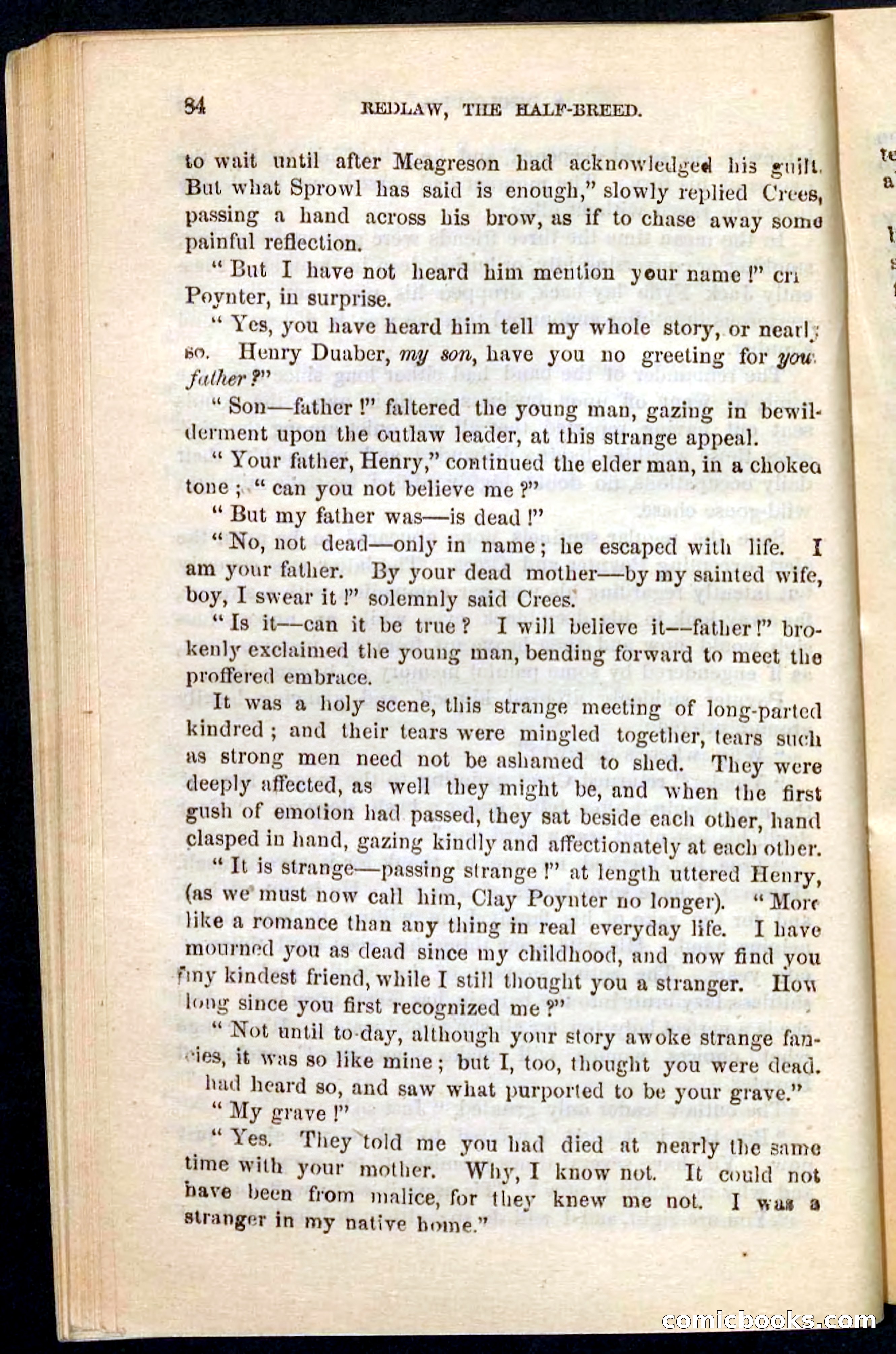 Beadle's Pocket Novels No. 101: Redlaw, the Half-Breed — page 80 of 100