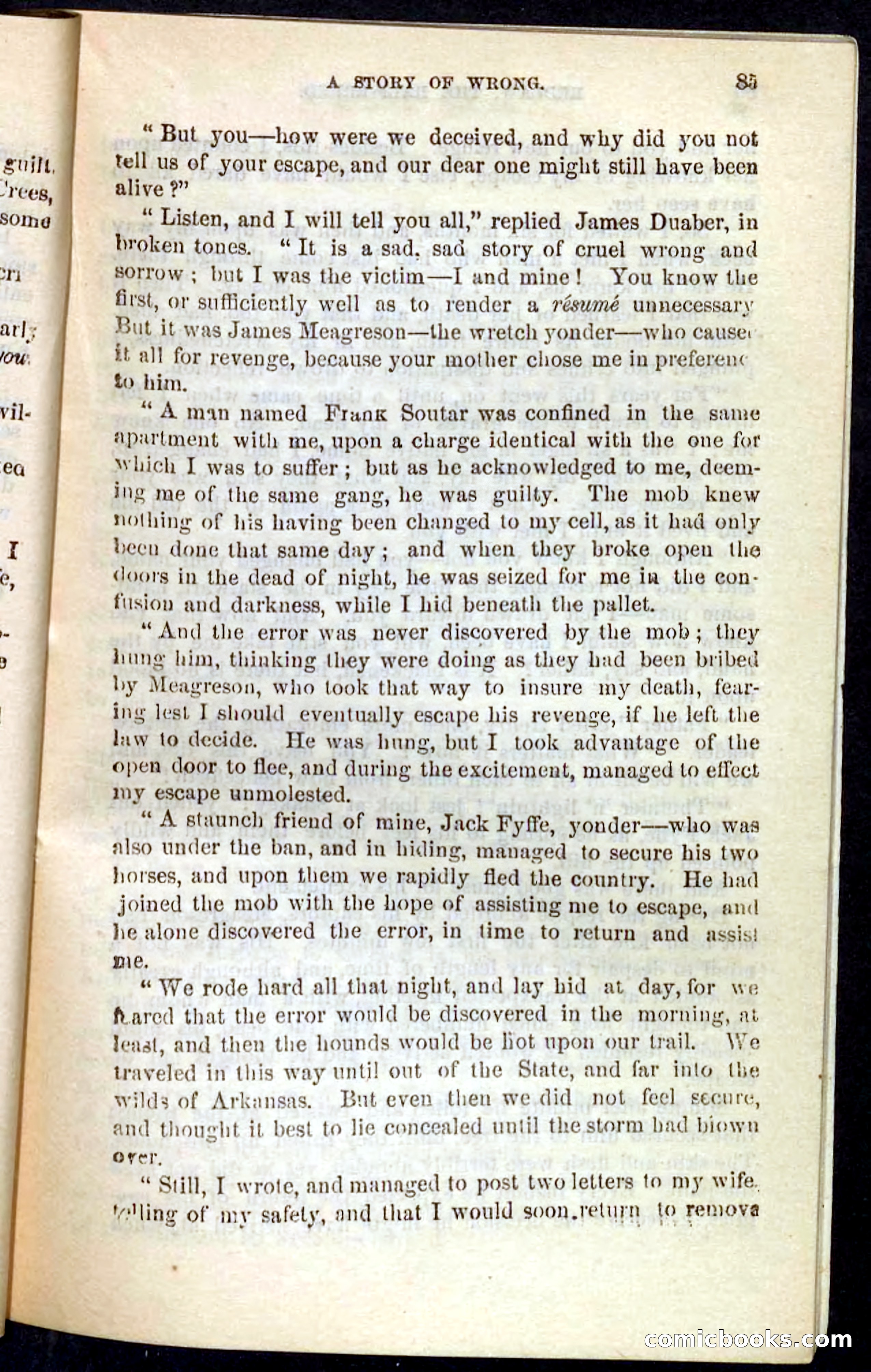 Beadle's Pocket Novels No. 101: Redlaw, the Half-Breed — page 81 of 100
