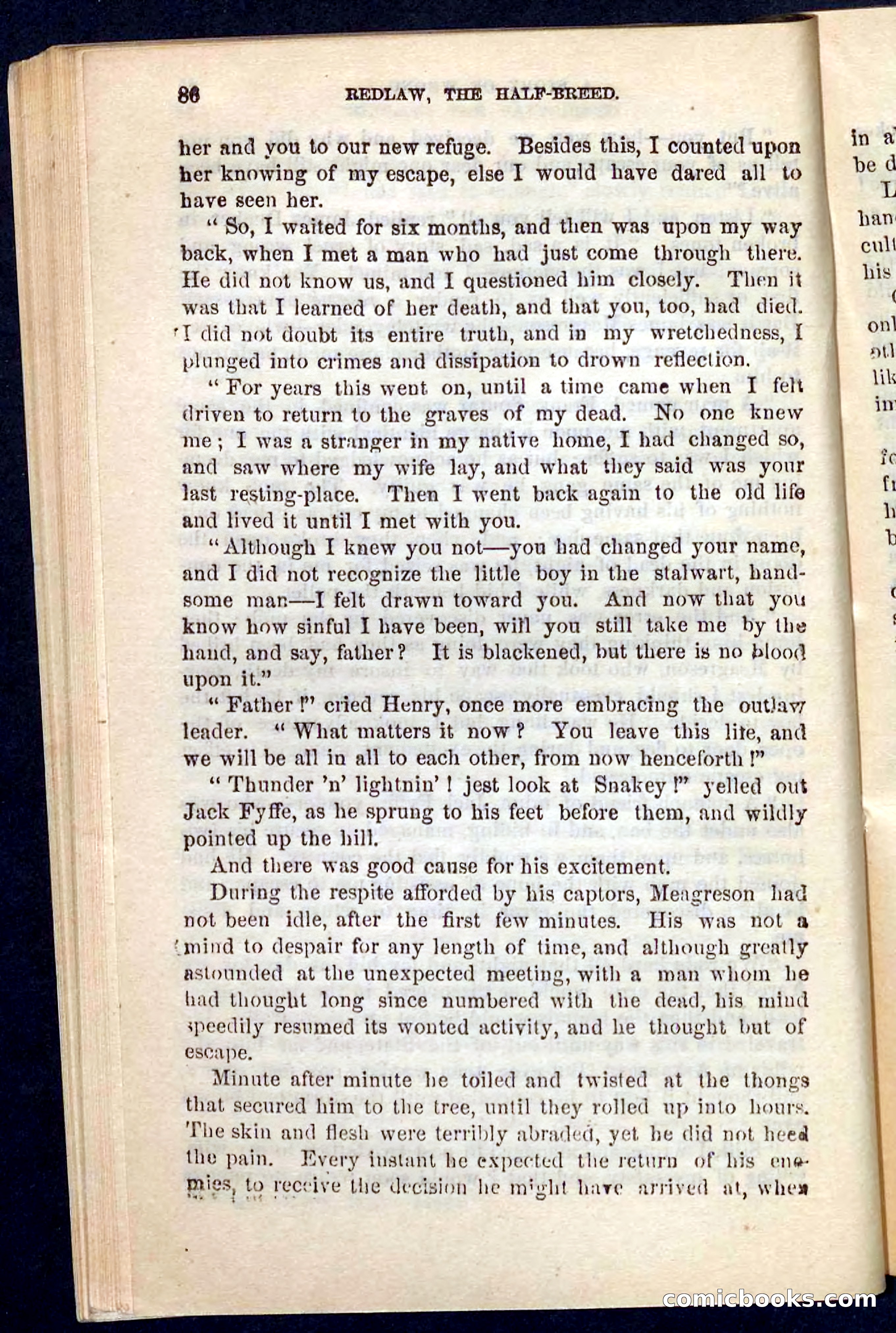 Beadle's Pocket Novels No. 101: Redlaw, the Half-Breed — page 82 of 100