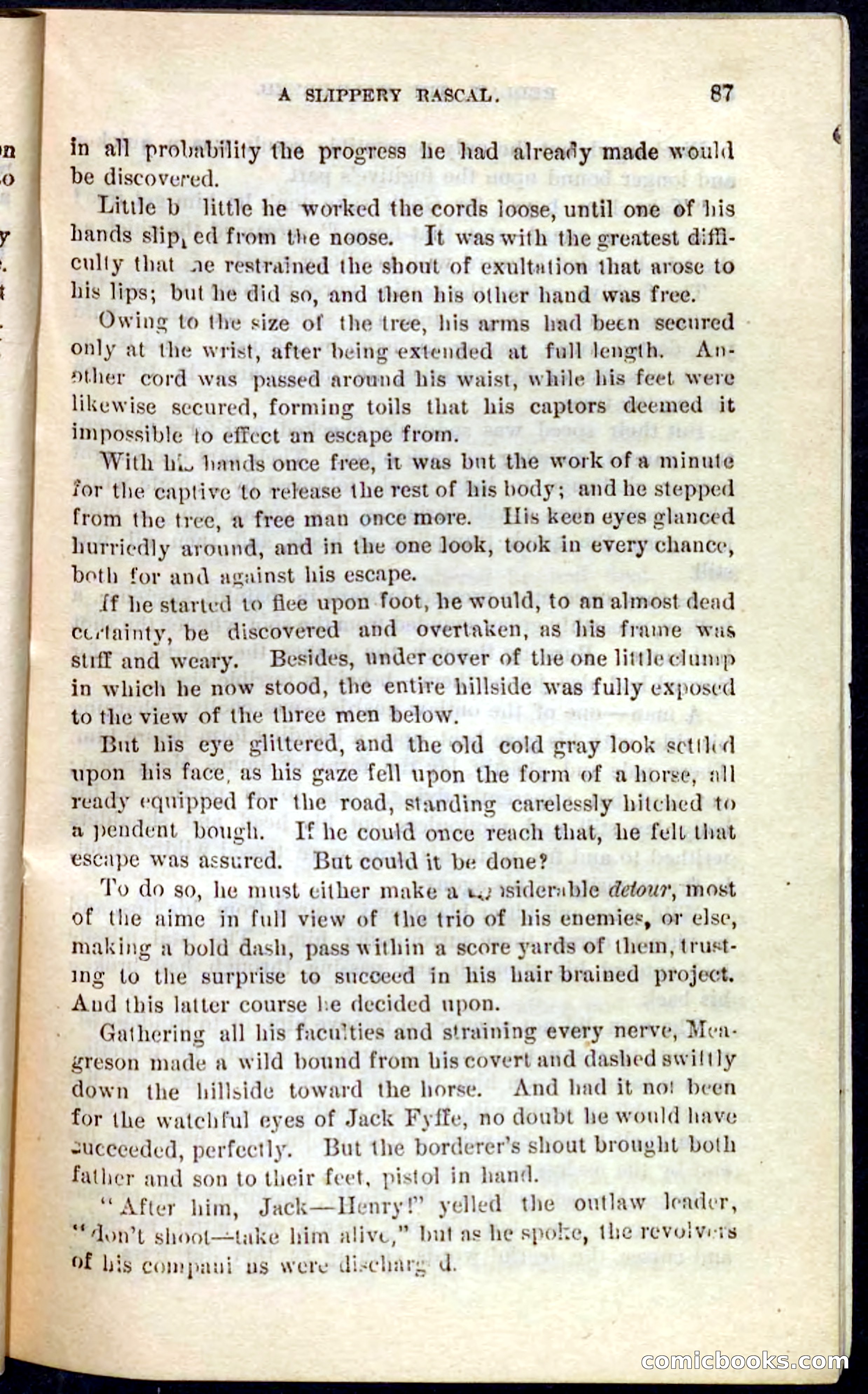 Beadle's Pocket Novels No. 101: Redlaw, the Half-Breed — page 83 of 100